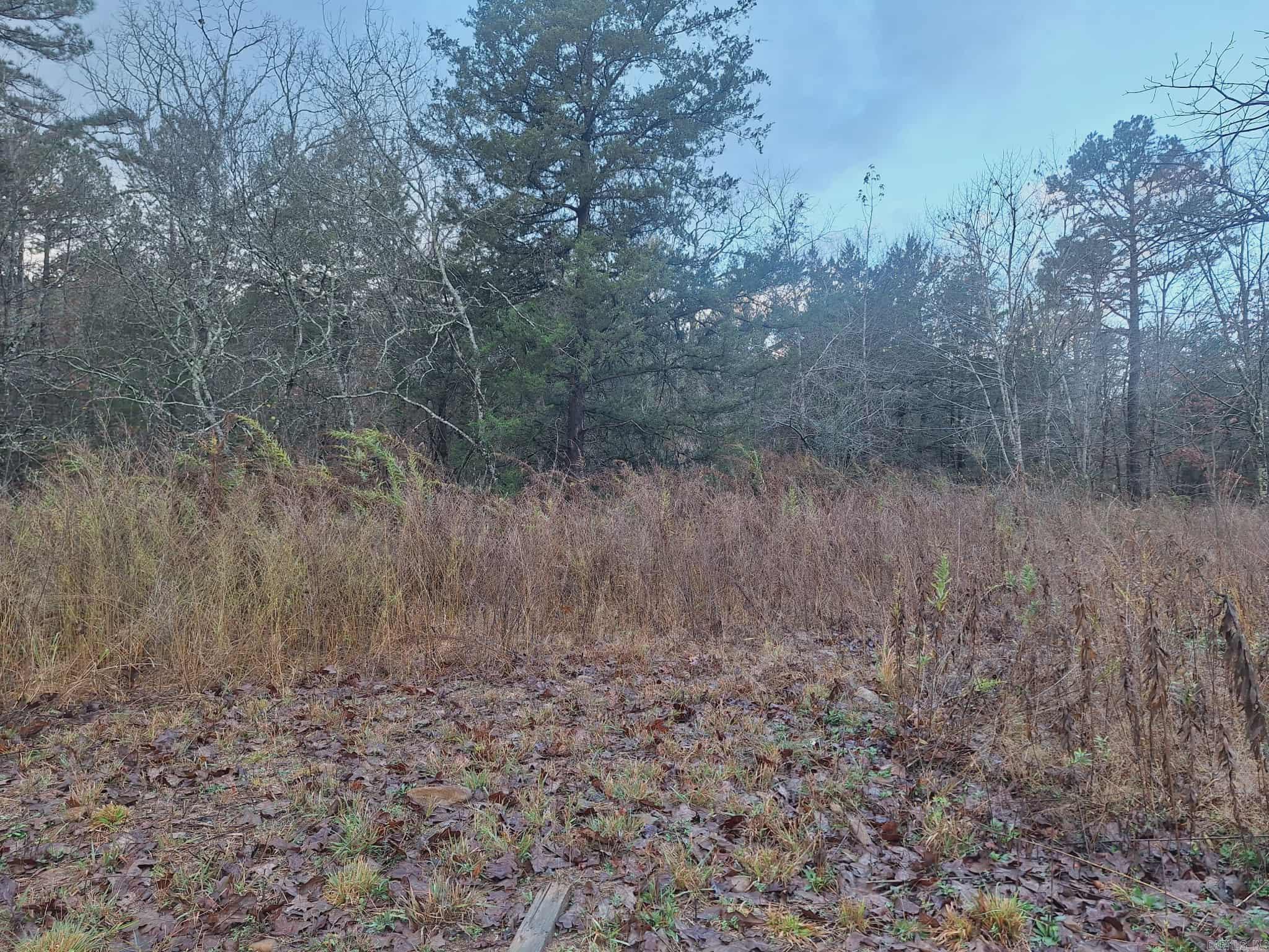 7449 Hwy 270  Boles, AR