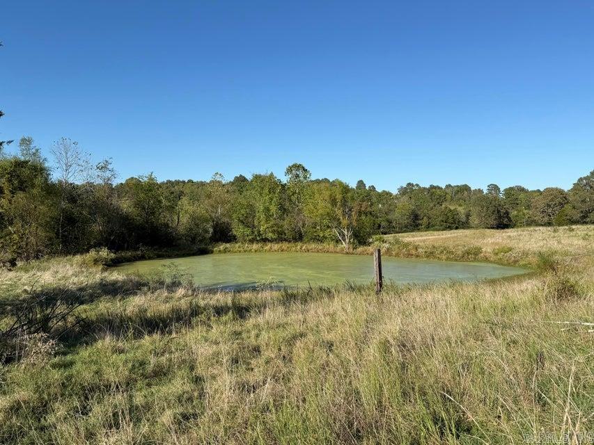 459 Ash  Mount Pleasant, AR