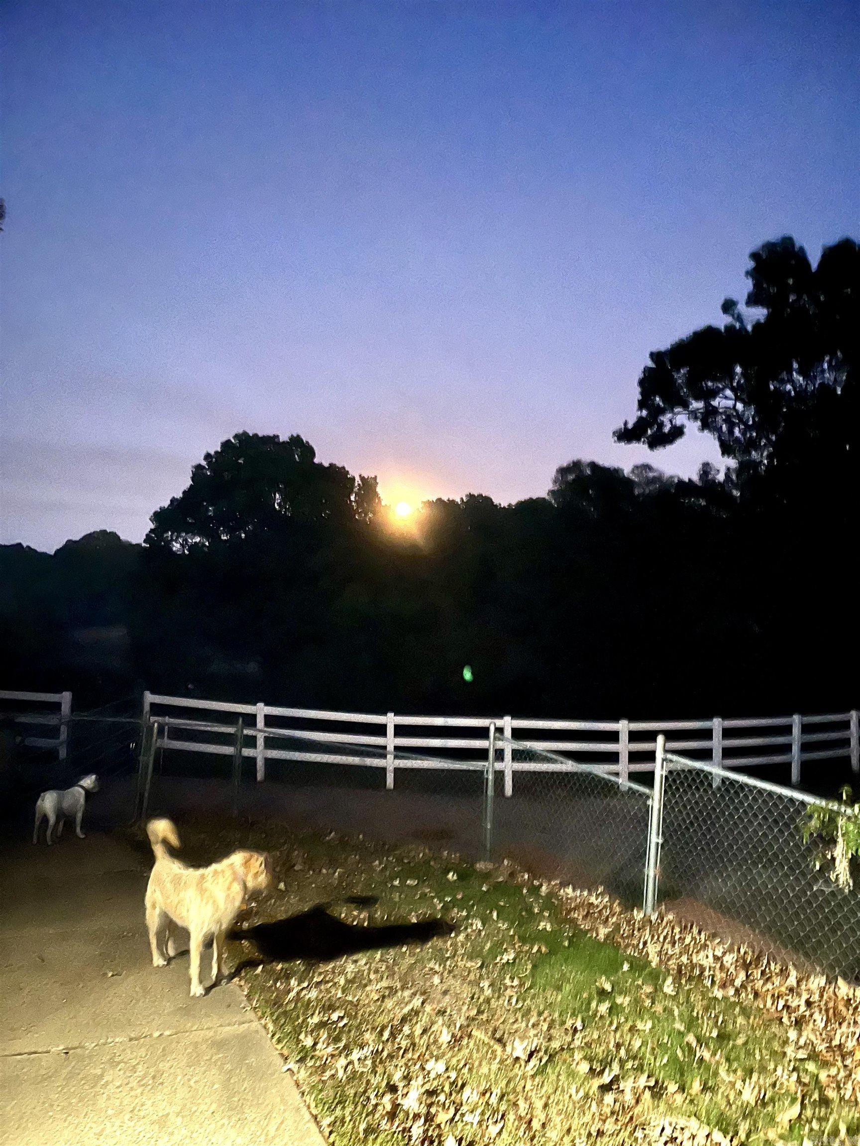 15355 Pleasant Grove Lane Harrisburg, AR 72432