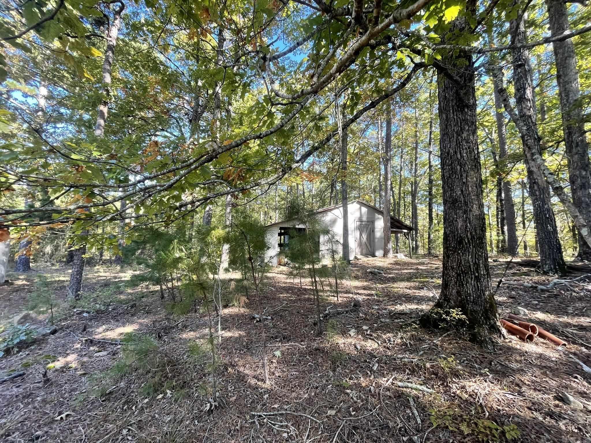 113 Boehler Lane  Mena, AR