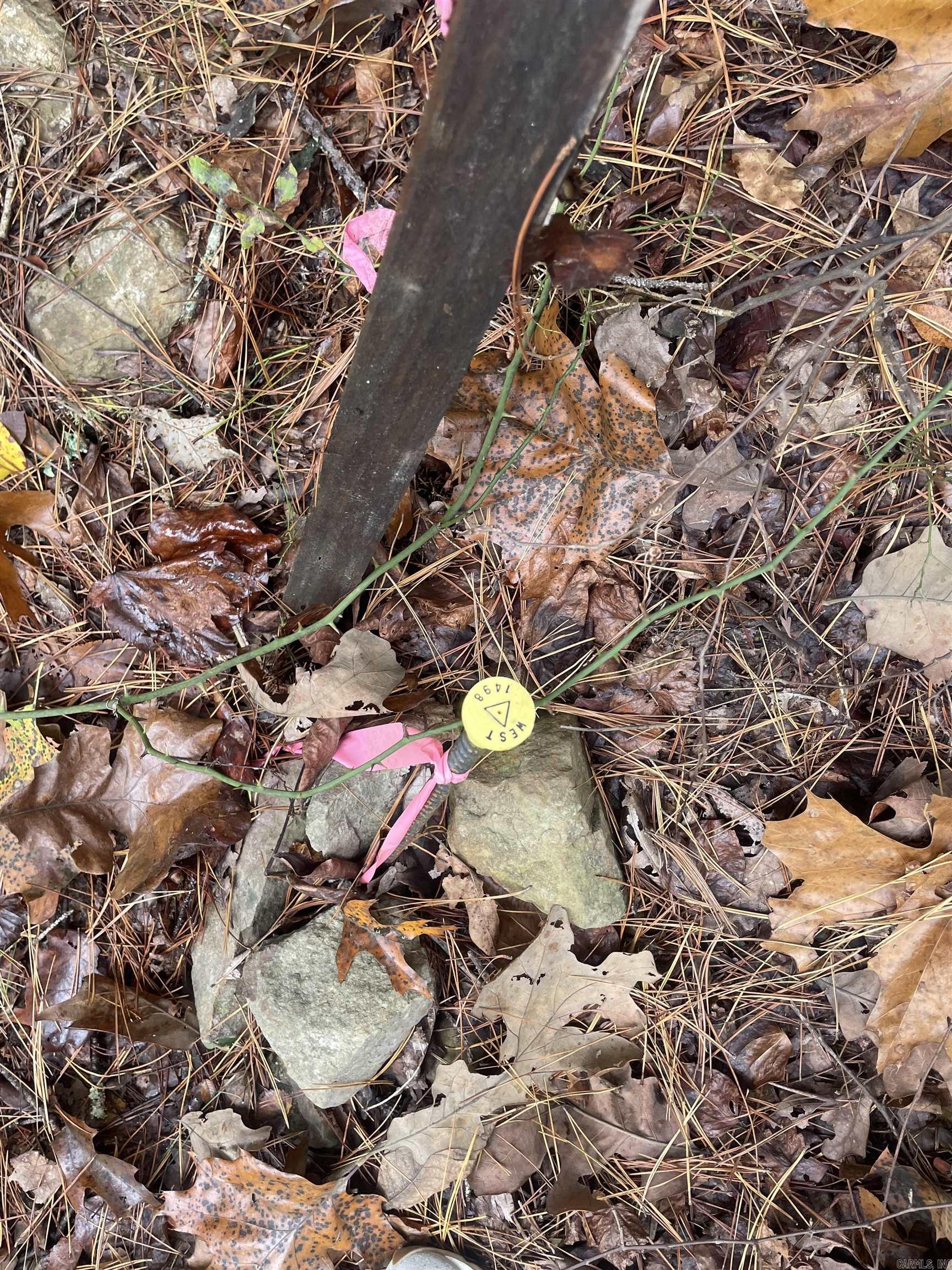 48 Green tree  Clinton, AR