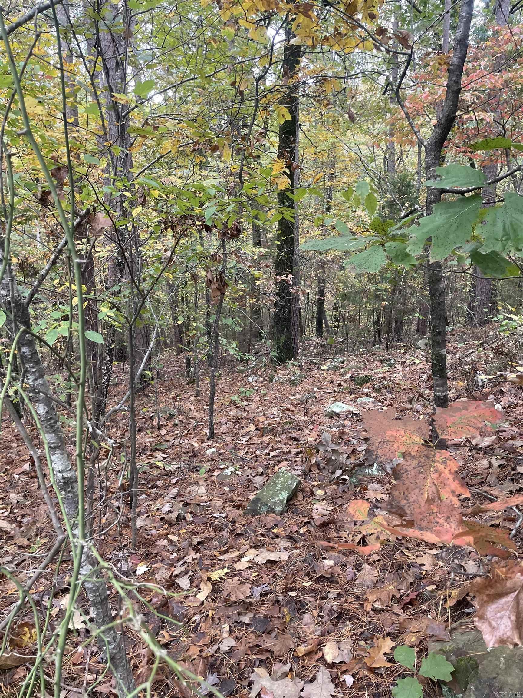 158 Green tree  Clinton, AR