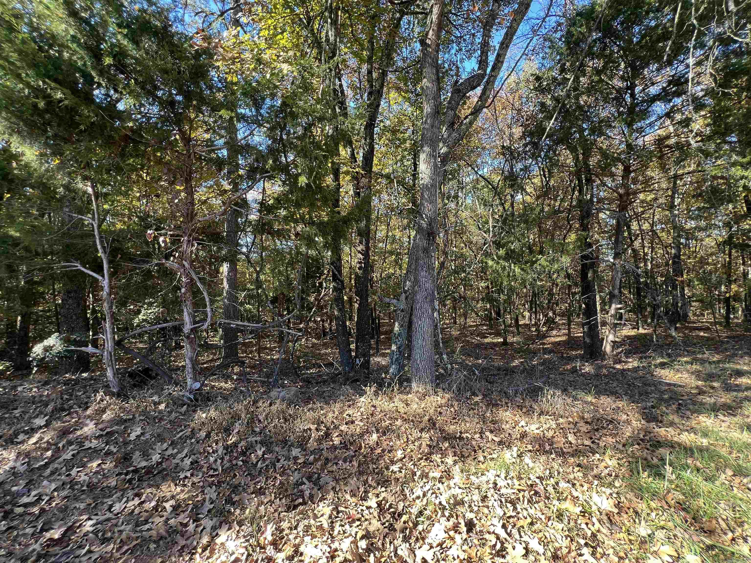 00 Rock  Fairfield Bay, AR