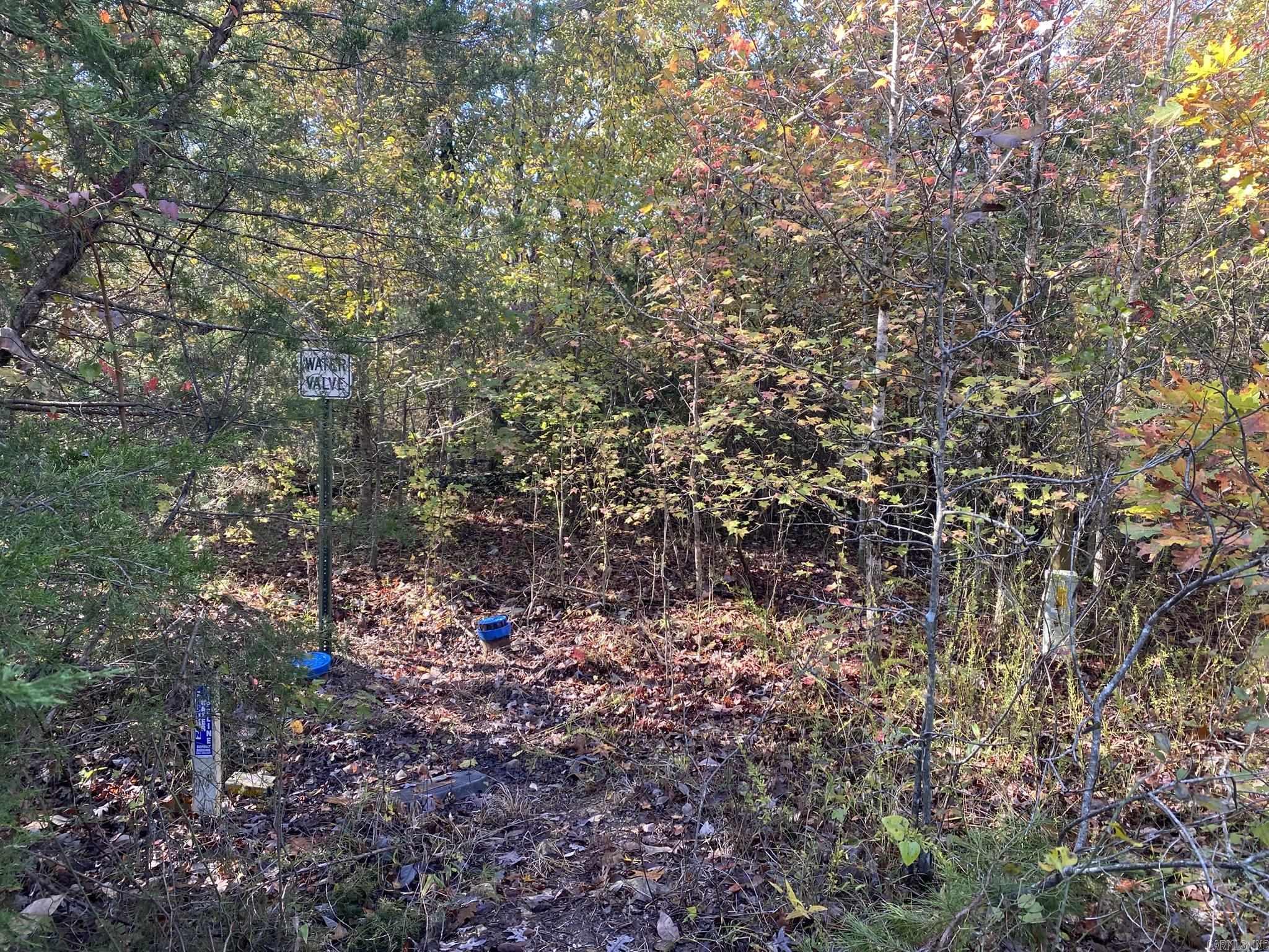 000 Jensen  Mountain View, AR