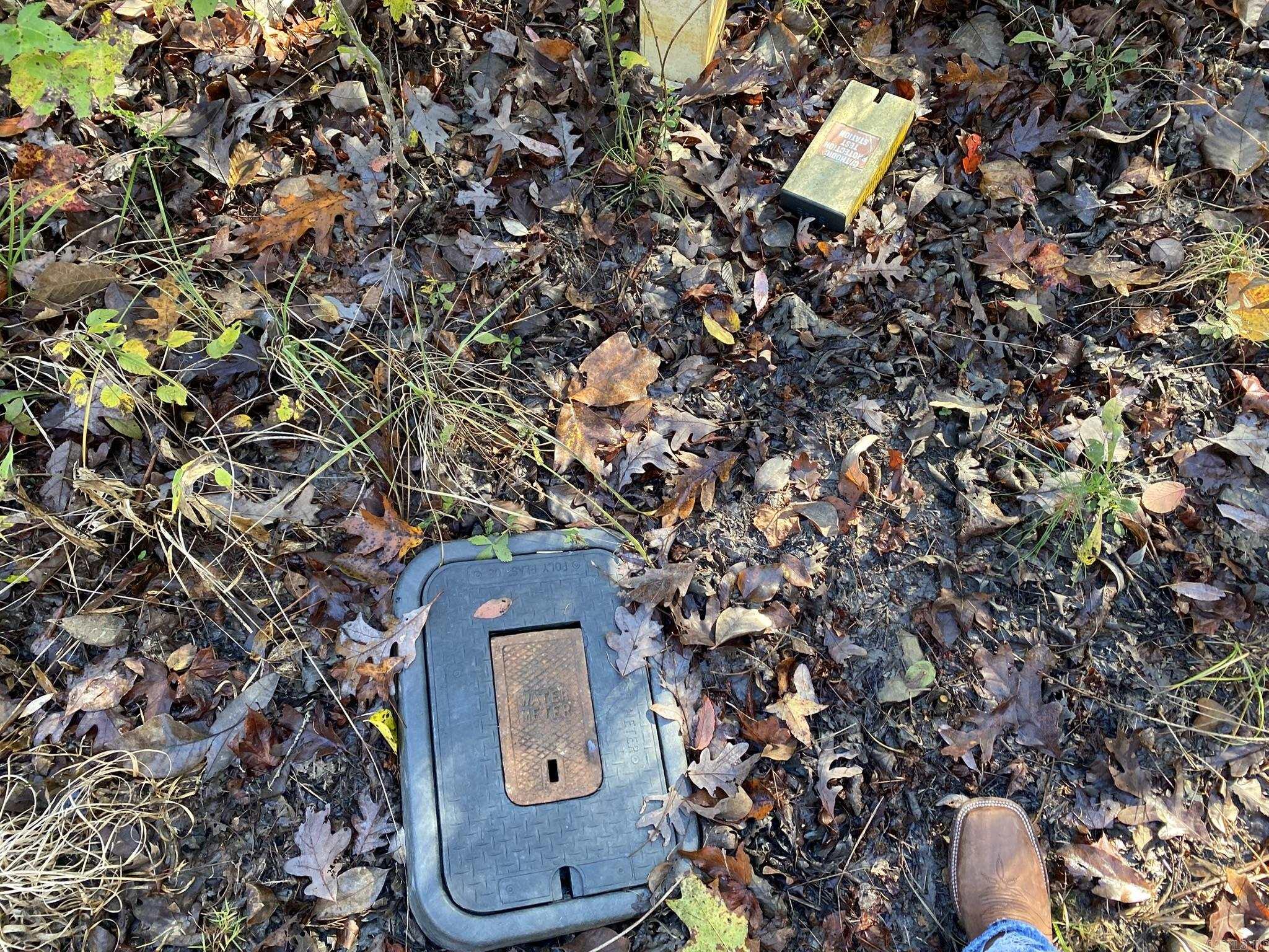 000 Jensen  Mountain View, AR