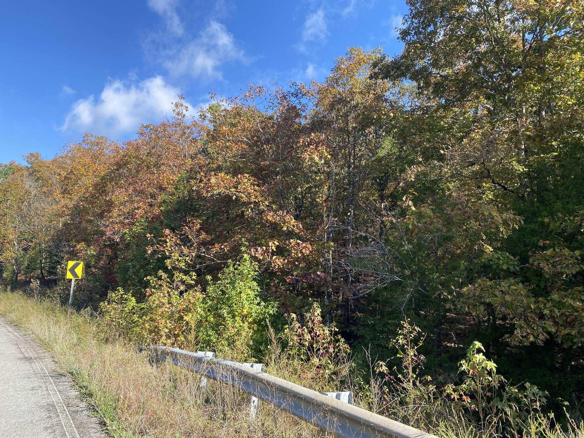 000 Jensen  Mountain View, AR