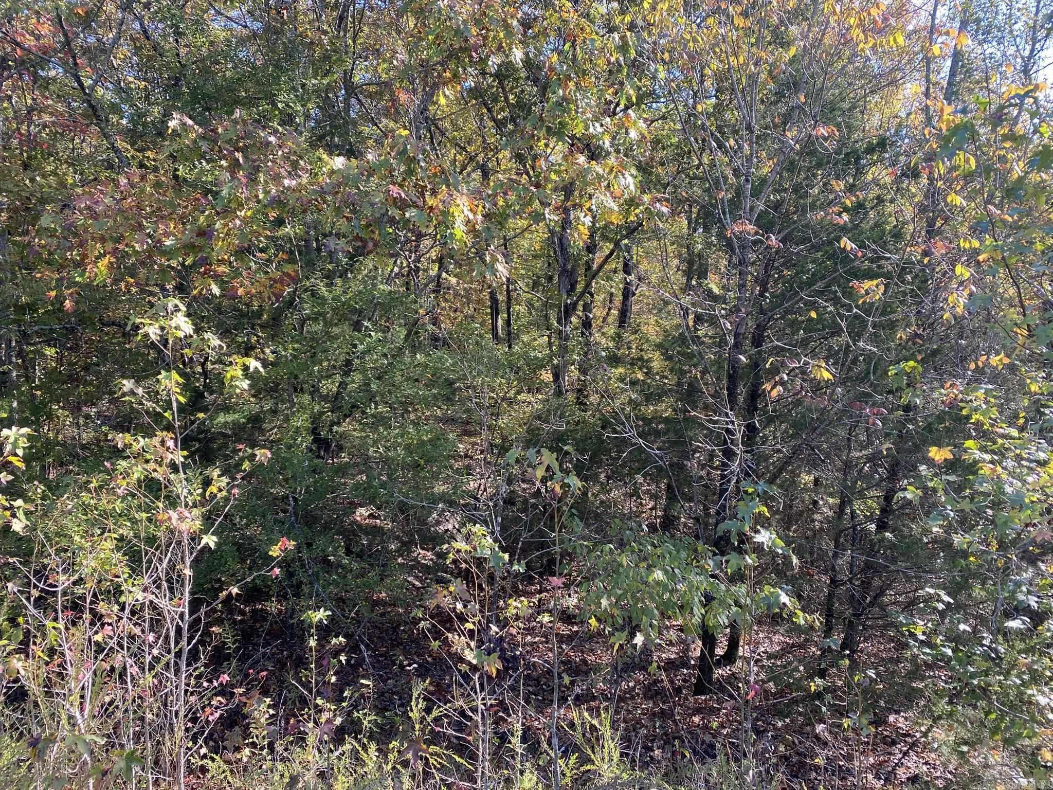 000 Jensen  Mountain View, AR