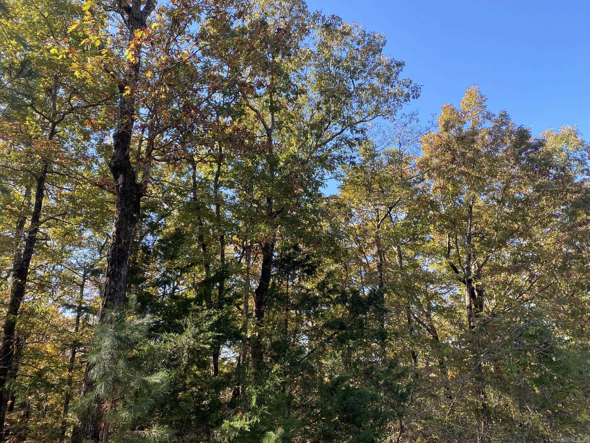 000 Jensen  Mountain View, AR