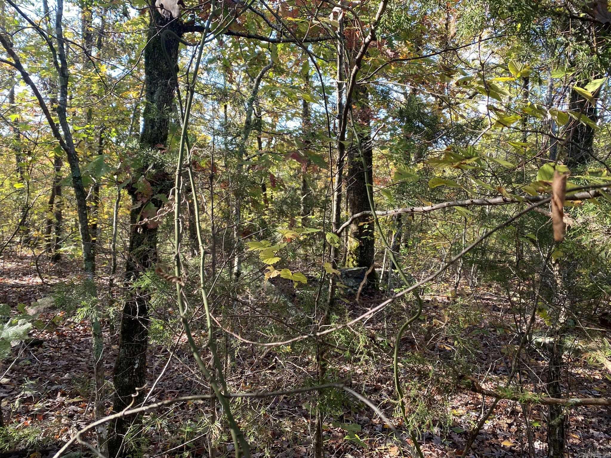 000 Jensen  Mountain View, AR