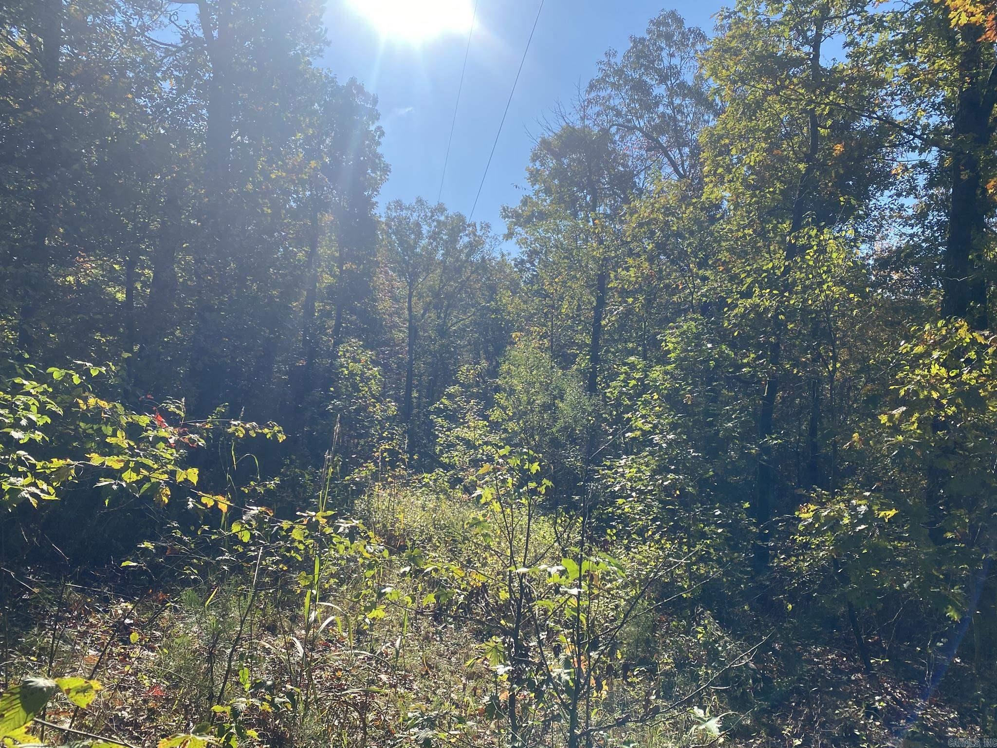 000 Jensen  Mountain View, AR