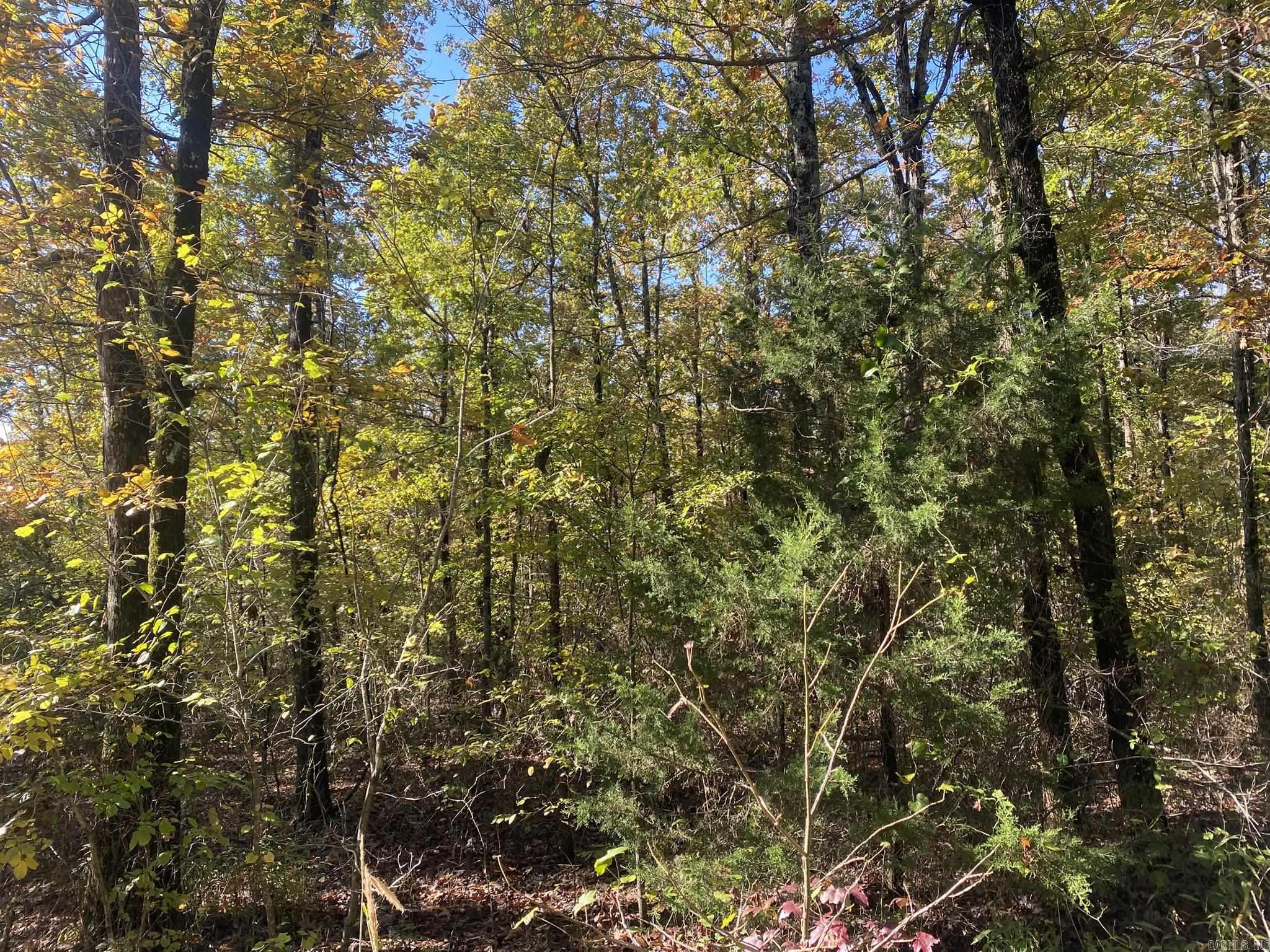 000 Jensen  Mountain View, AR