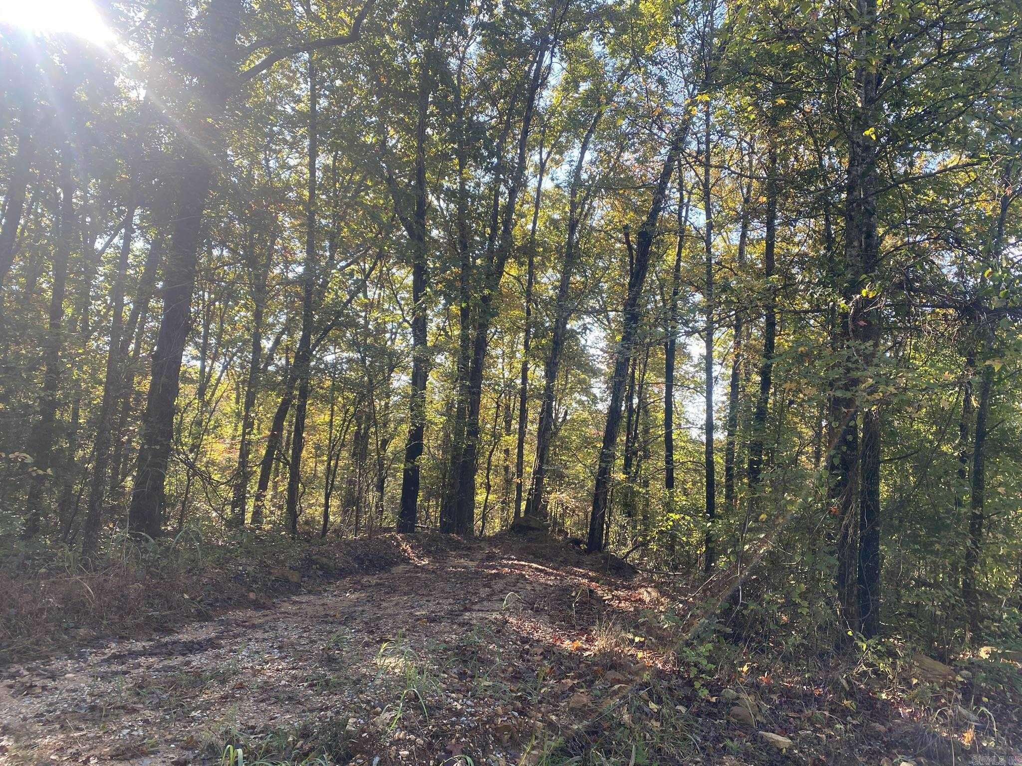 000 Jensen  Mountain View, AR