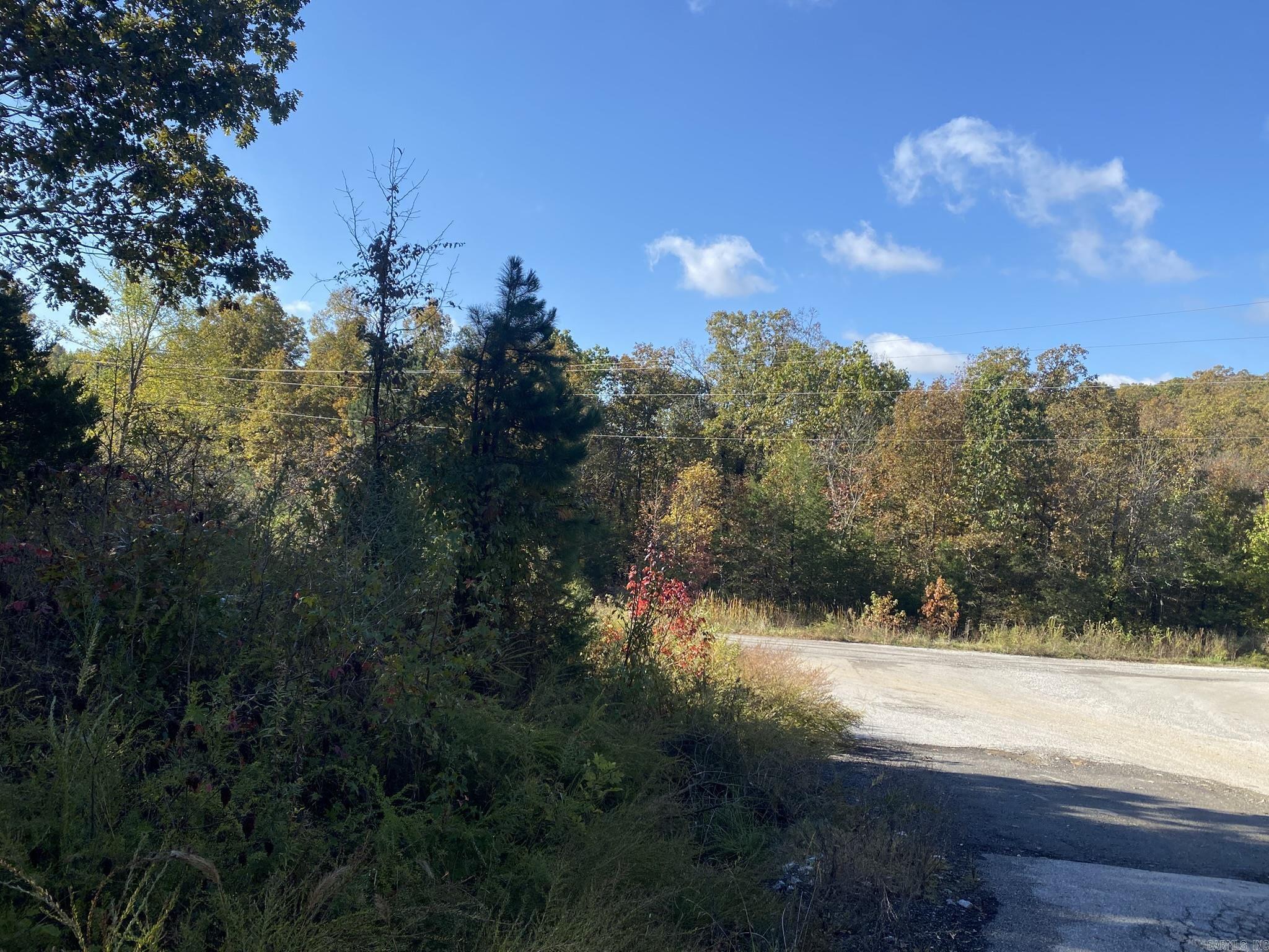 000 Jensen  Mountain View, AR