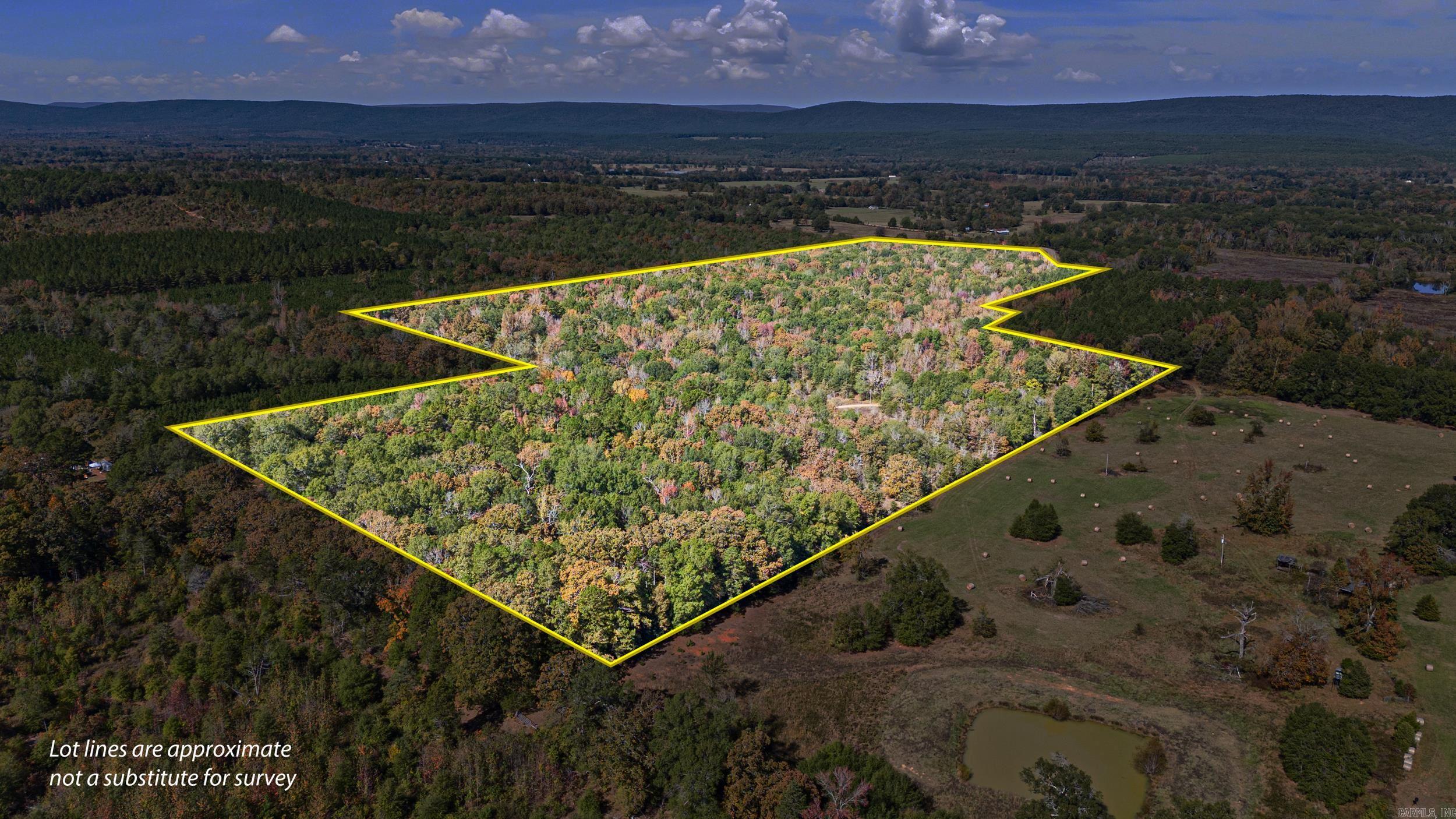 307 307  Bluffton, AR