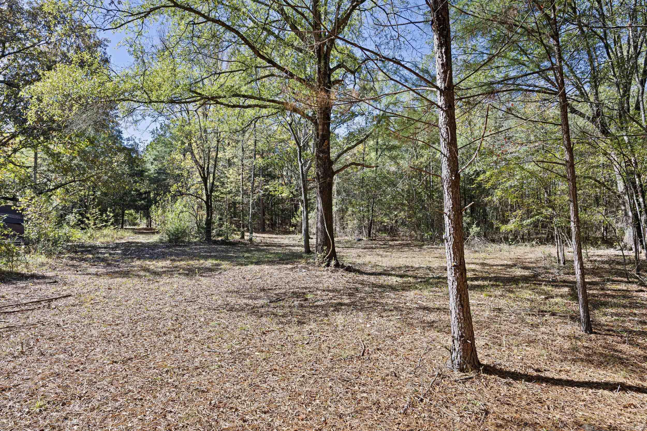 307 307  Bluffton, AR