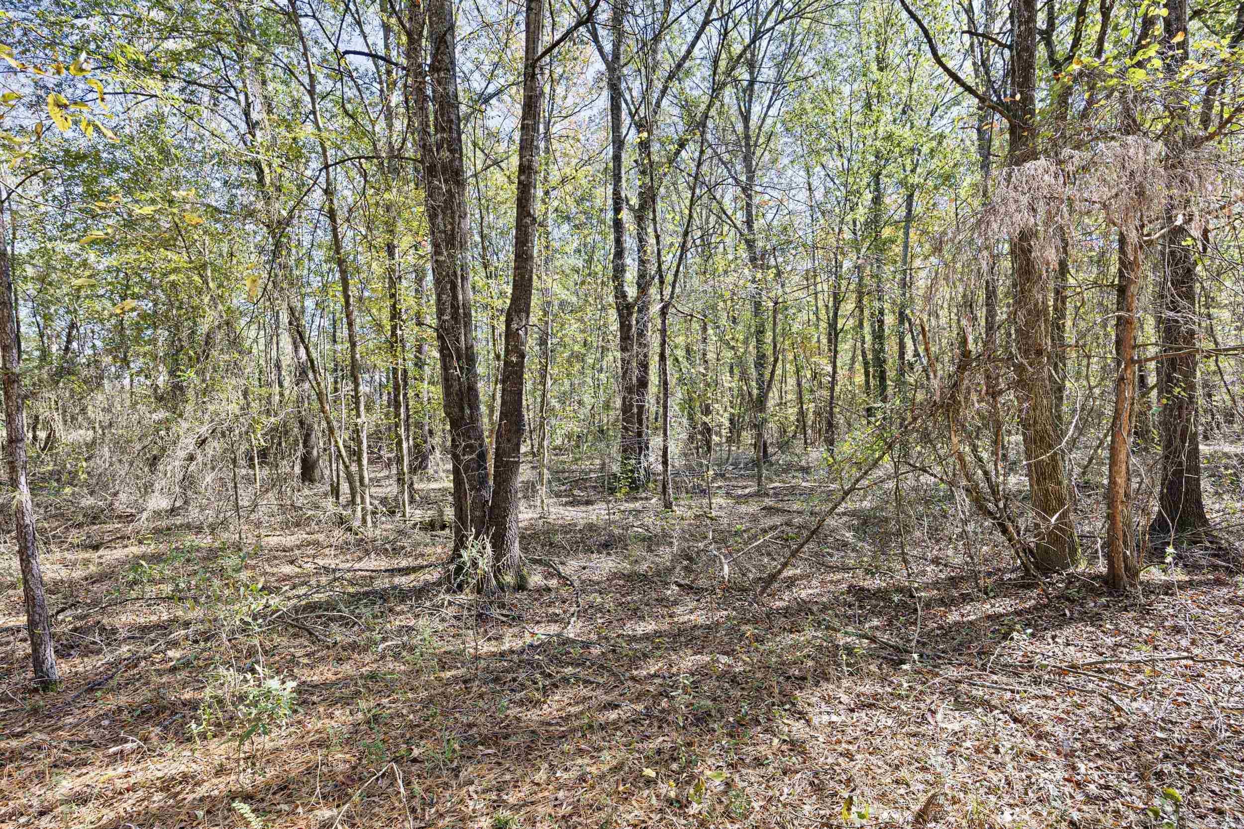 307 307  Bluffton, AR