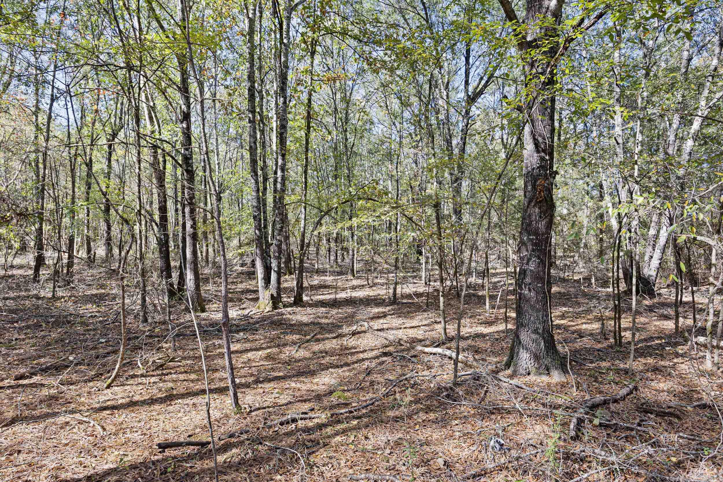 307 307  Bluffton, AR