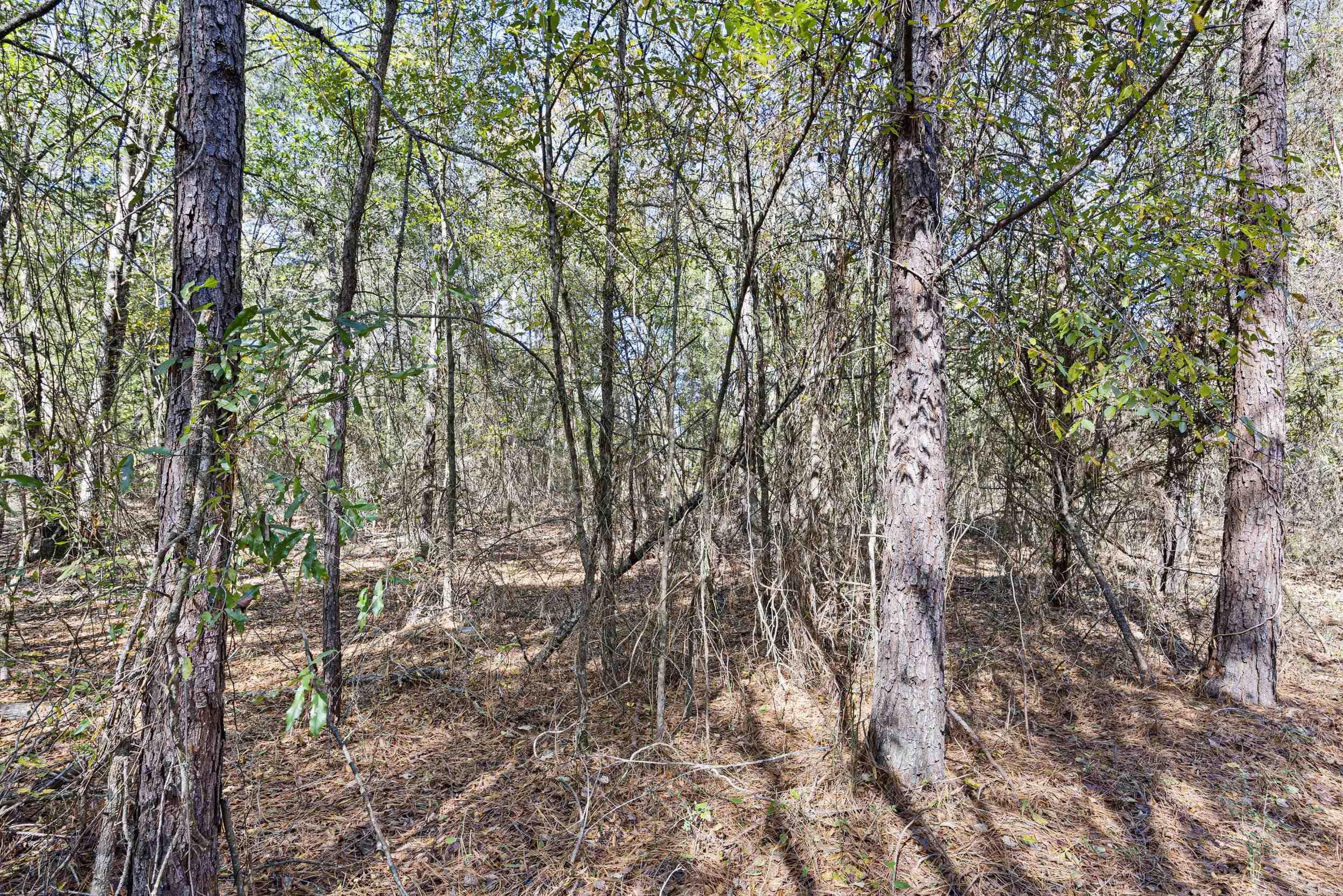 307 307  Bluffton, AR