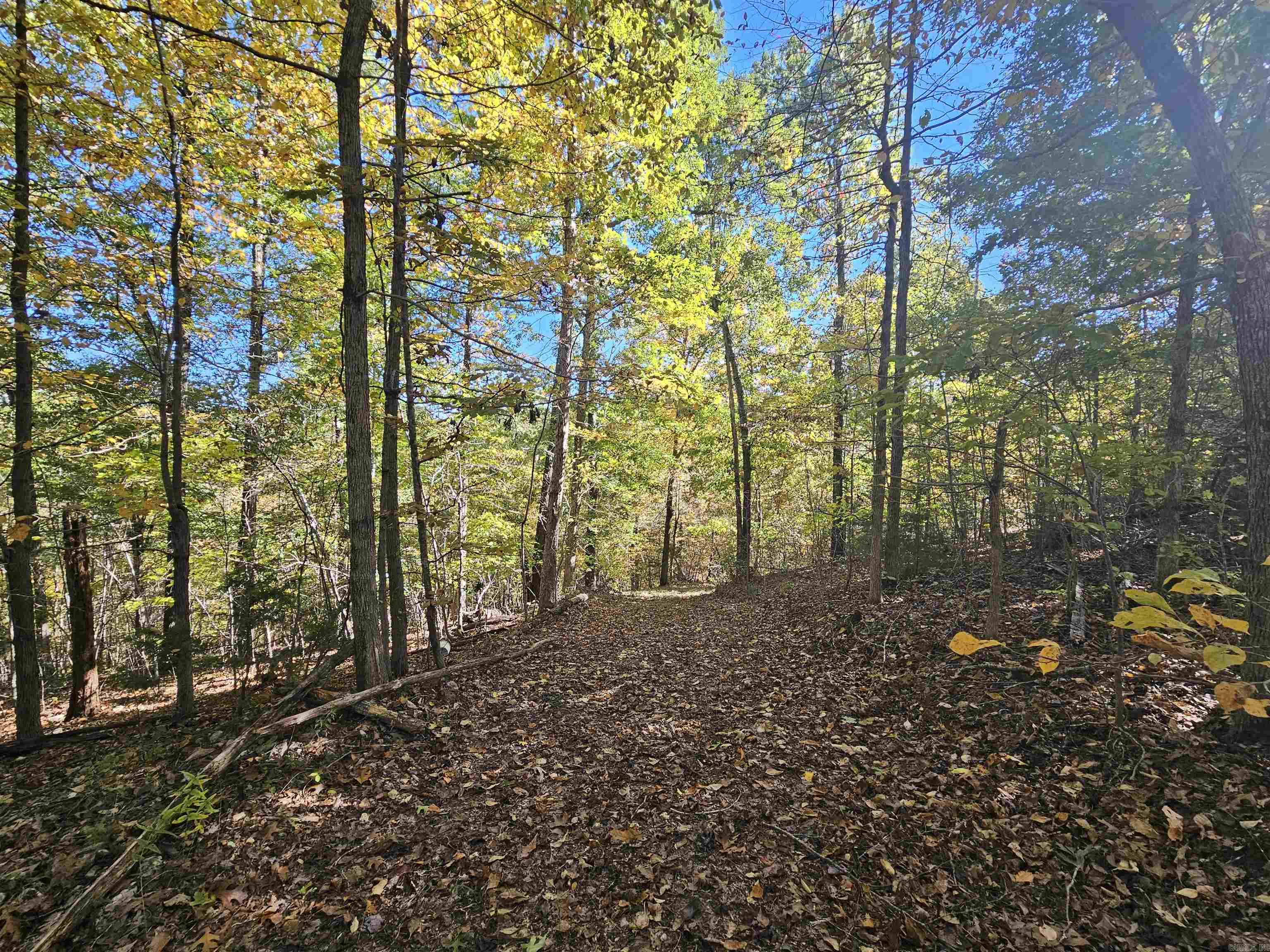 234 N Ridgeway Way Marshall, AR 72650