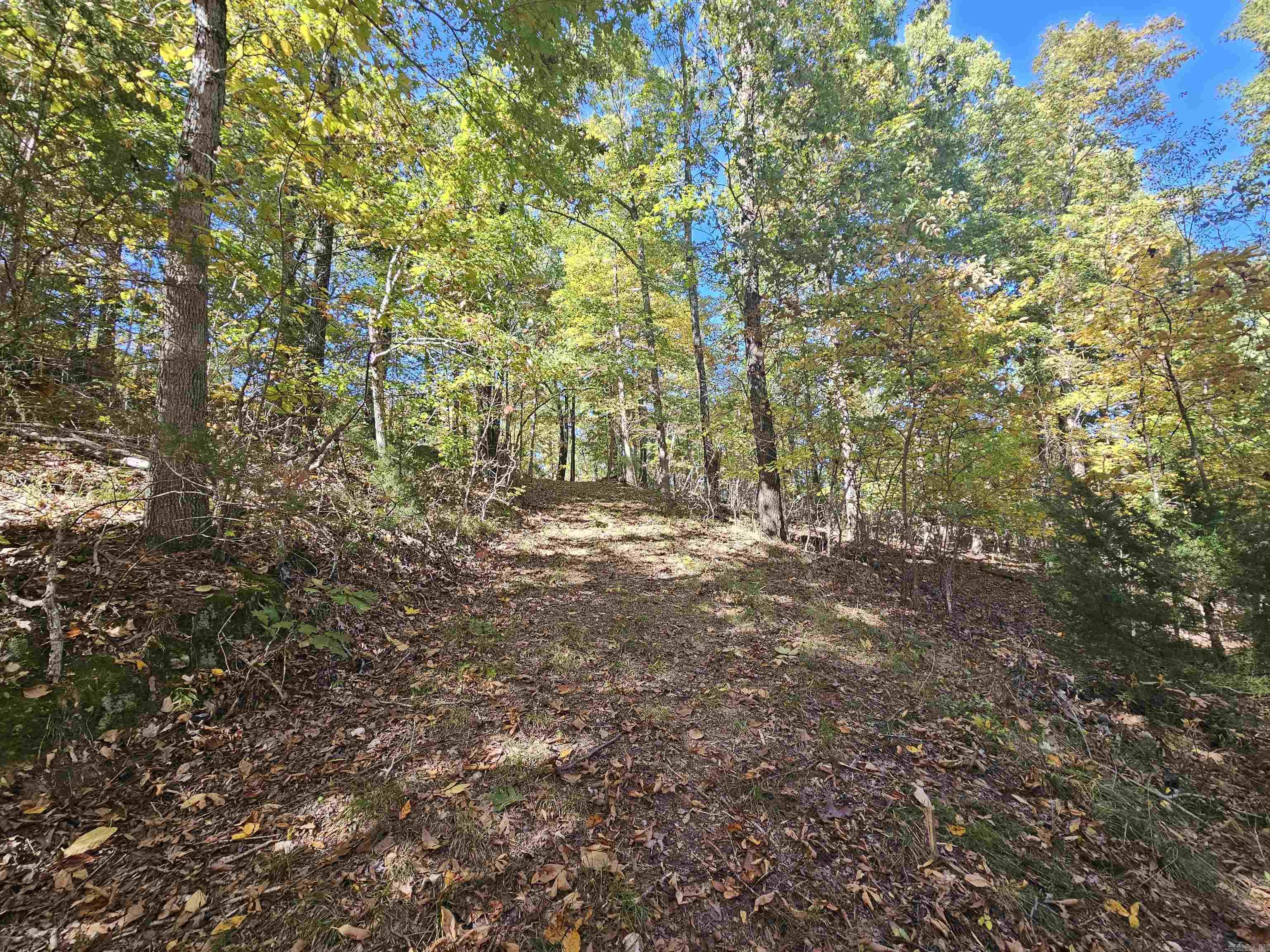 234 N Ridgeway Way Marshall, AR 72650