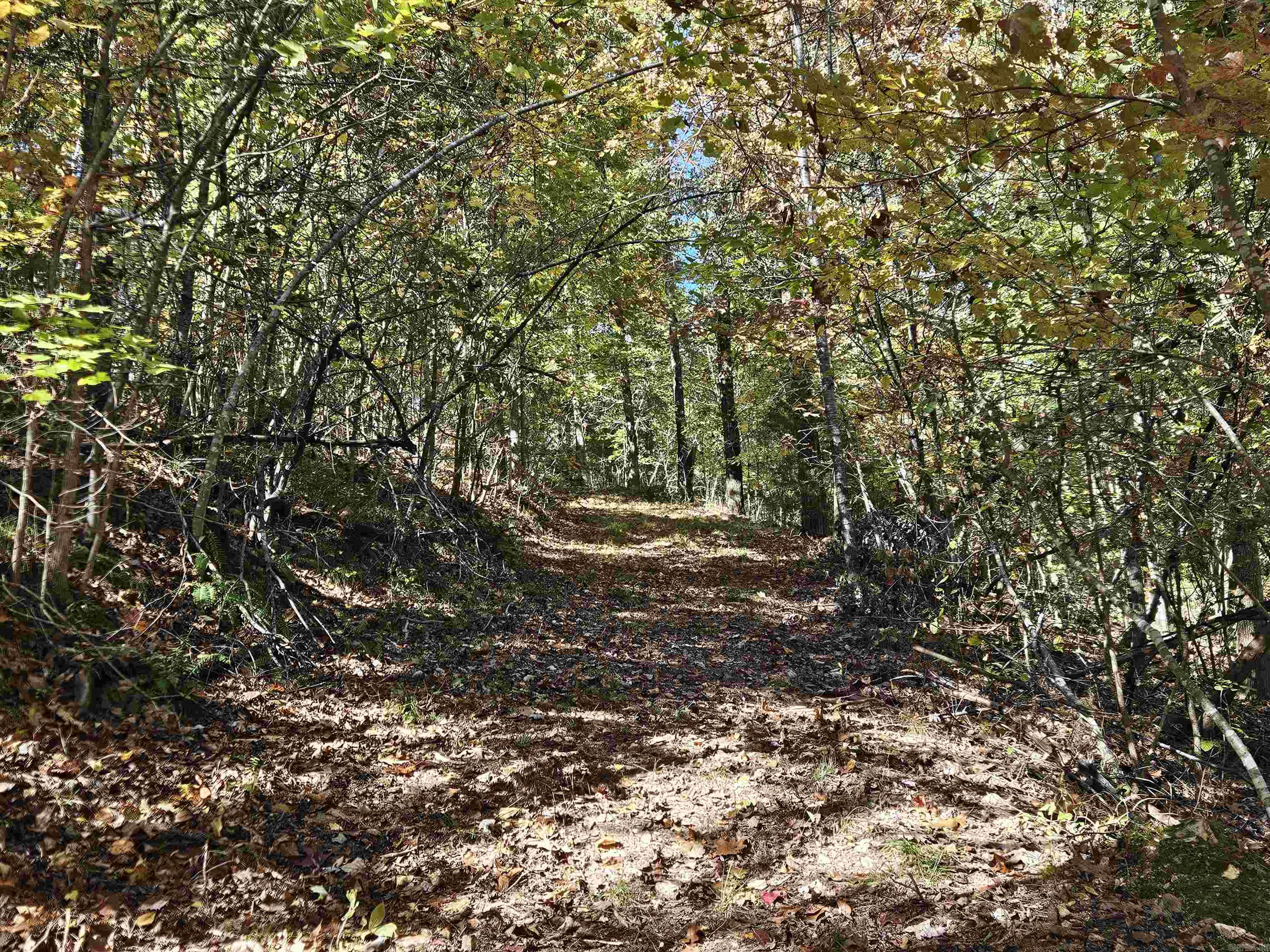 234 N Ridgeway Way Marshall, AR 72650