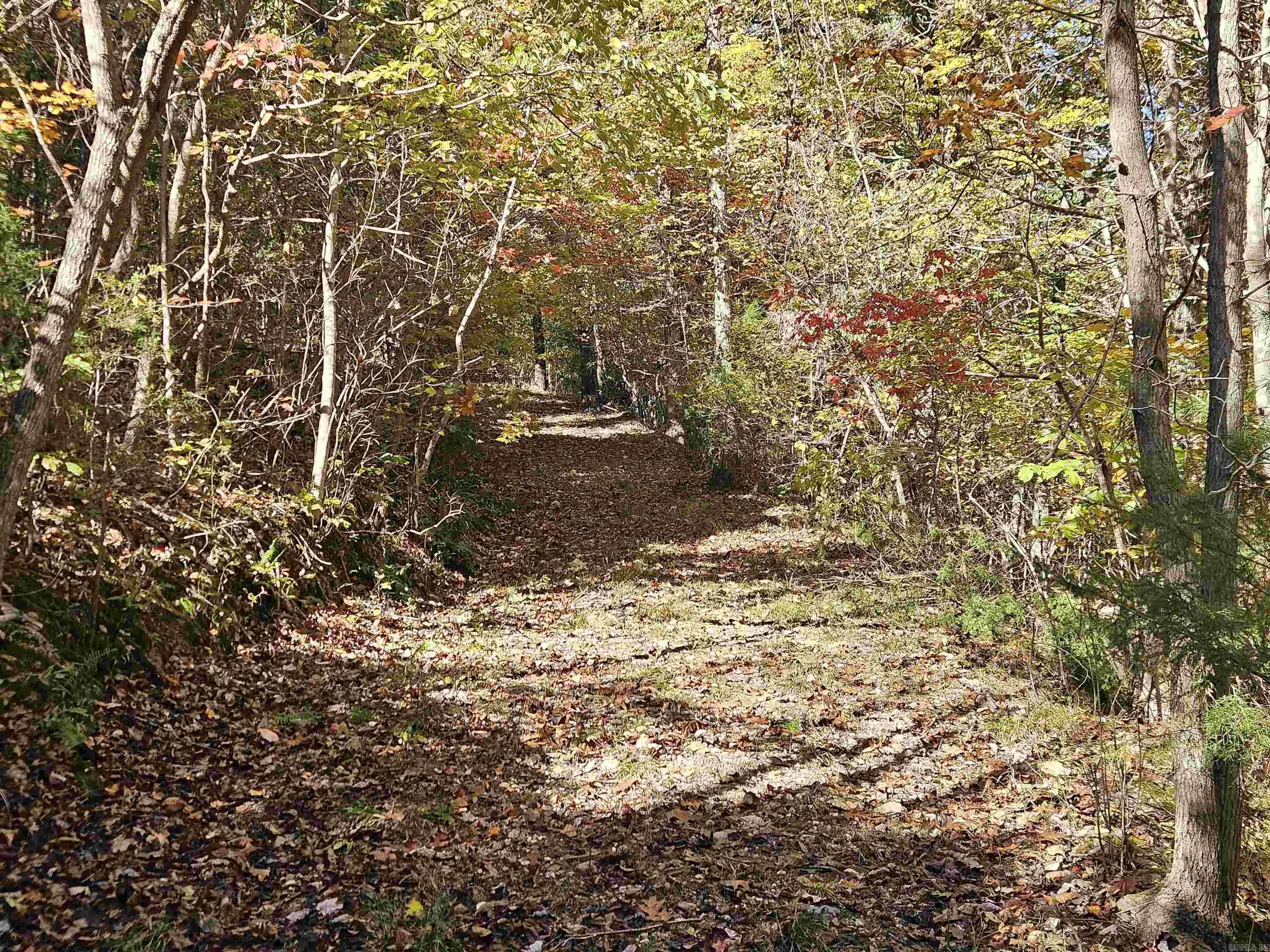 234 N Ridgeway Way Marshall, AR 72650