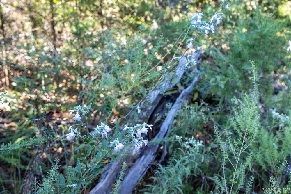 0000 Yukon  Mountain Home, AR