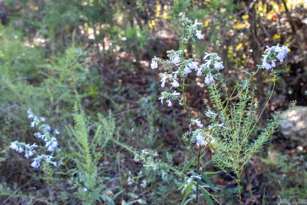 0000 Yukon  Mountain Home, AR