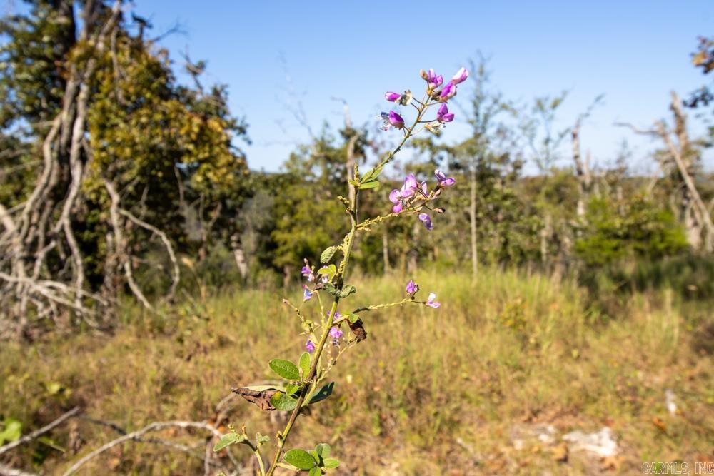 0000 Yukon  Mountain Home, AR