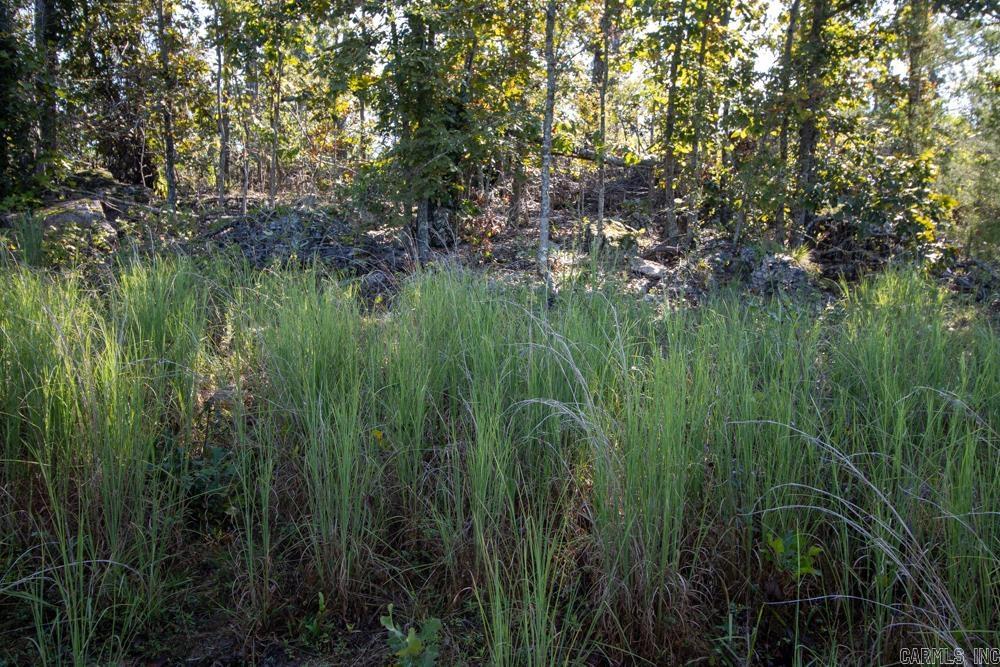 0000 Yukon  Mountain Home, AR