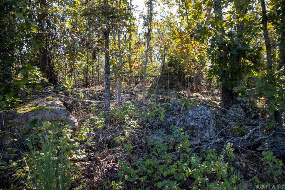 0000 Yukon  Mountain Home, AR