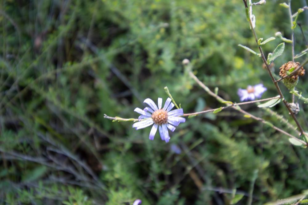 0000 Yukon  Mountain Home, AR