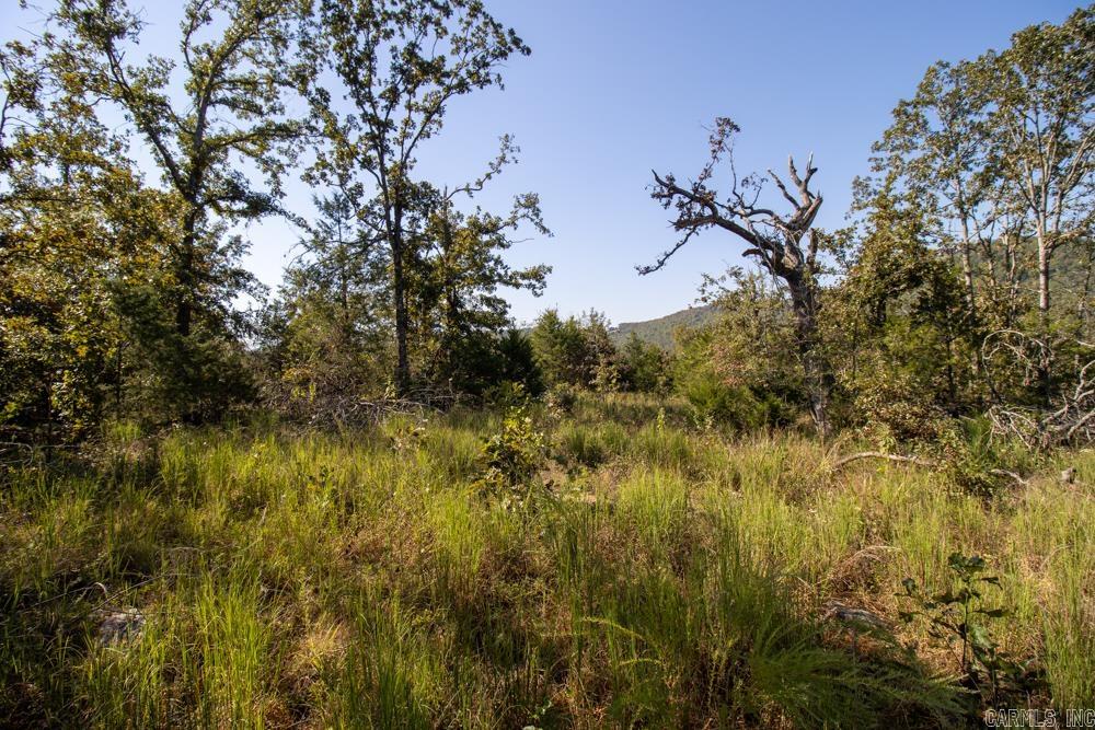 0000 Yukon  Mountain Home, AR