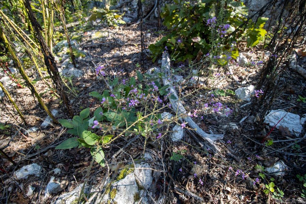 0000 Yukon  Mountain Home, AR