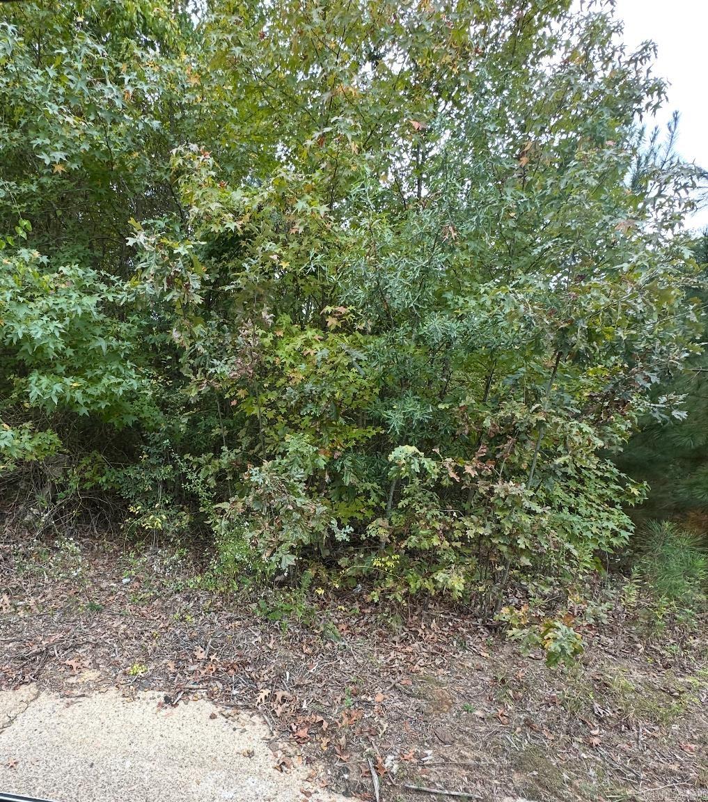 354 Harrison Ave  Camden, AR