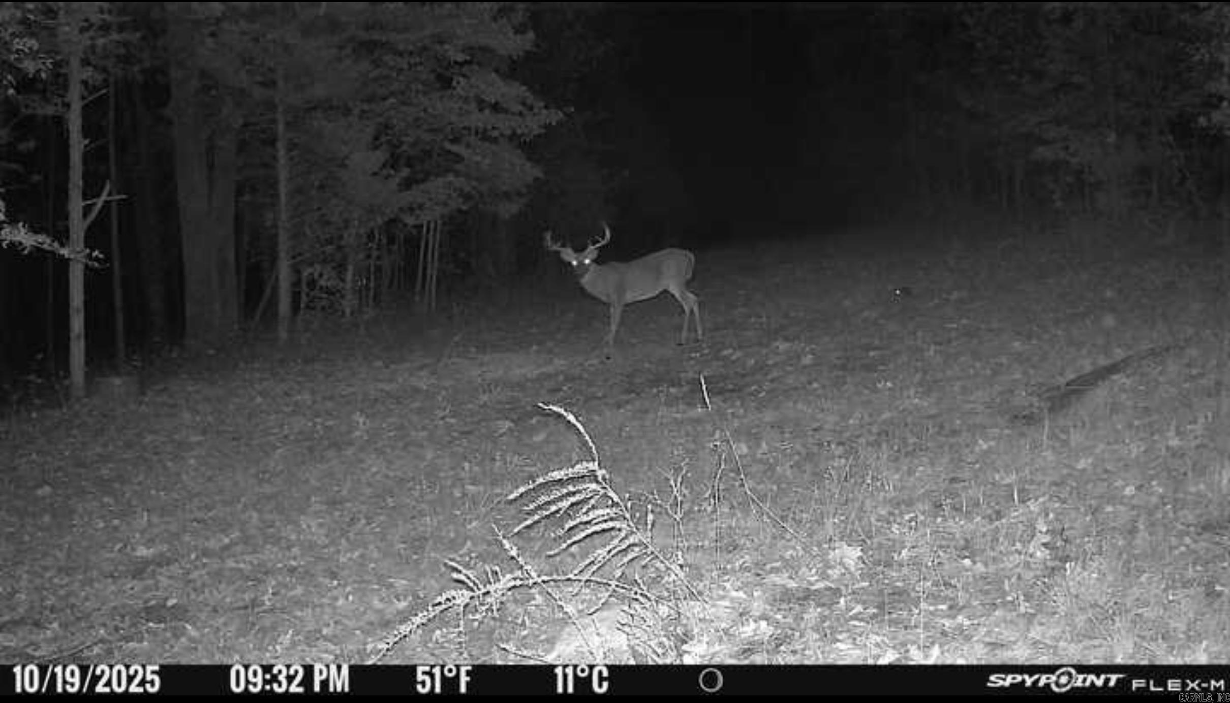 000 Schales Rd.  Sitka, AR