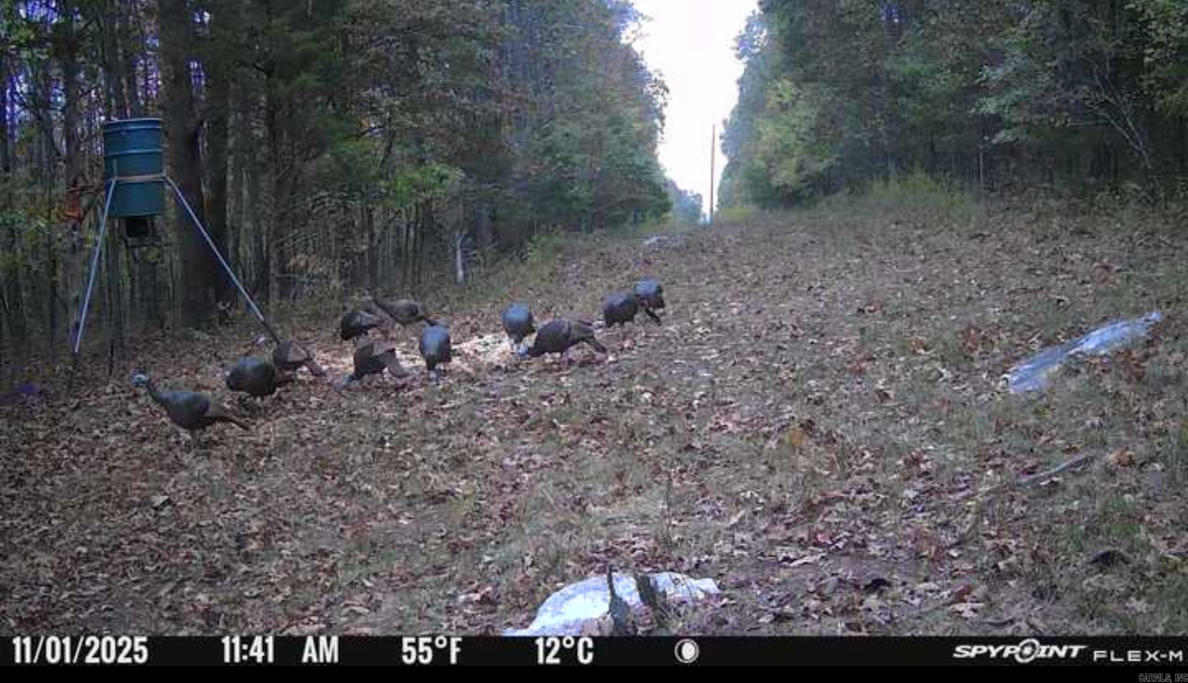 000 Schales Rd.  Sitka, AR