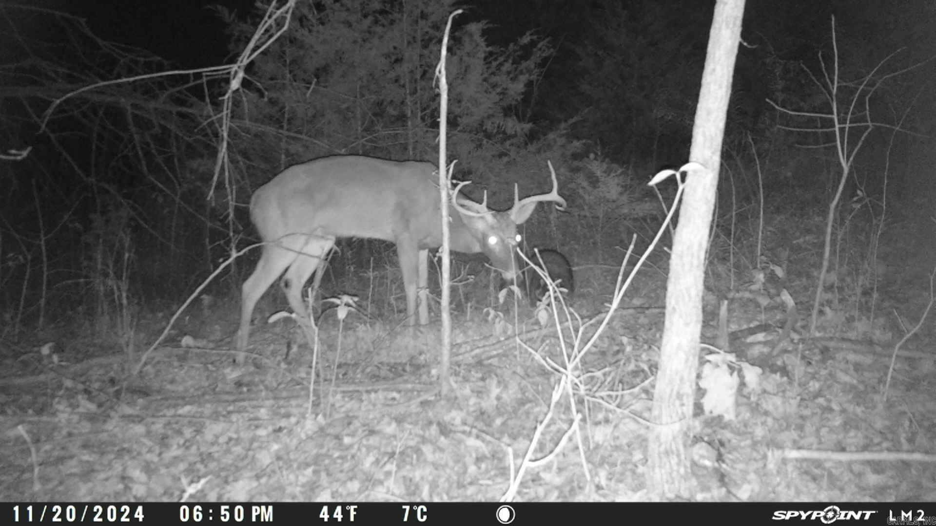 000 Schales Rd.  Sitka, AR