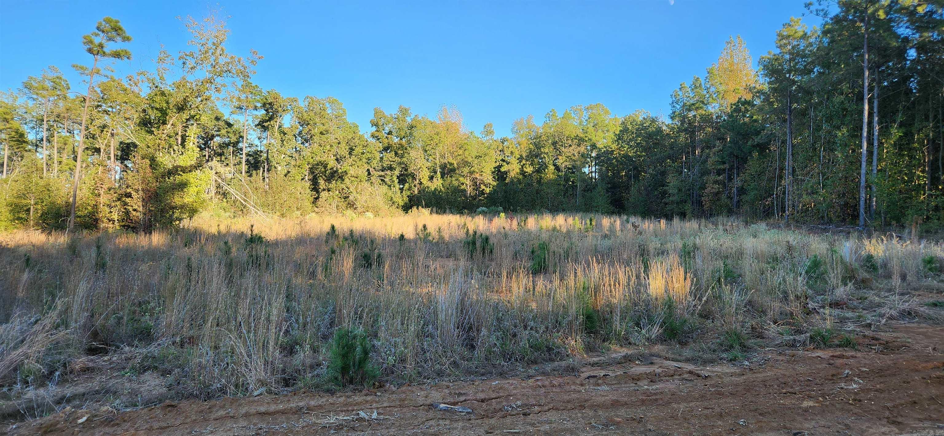 000 Camille  Star City, AR