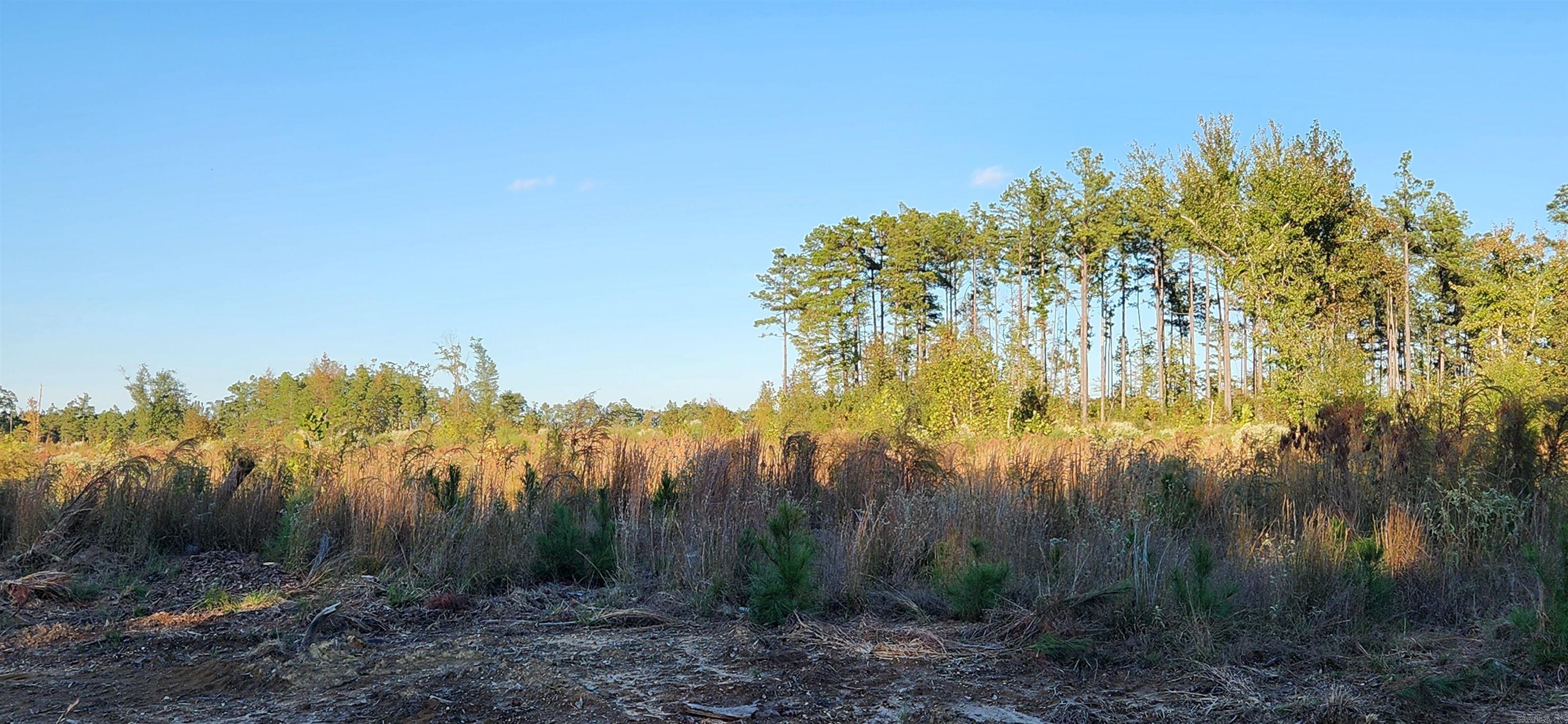 000 Camille  Star City, AR