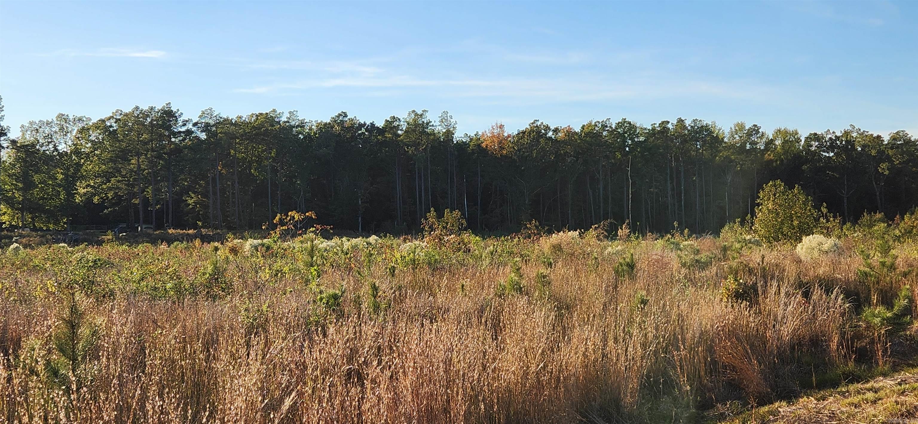 000 Camille  Star City, AR