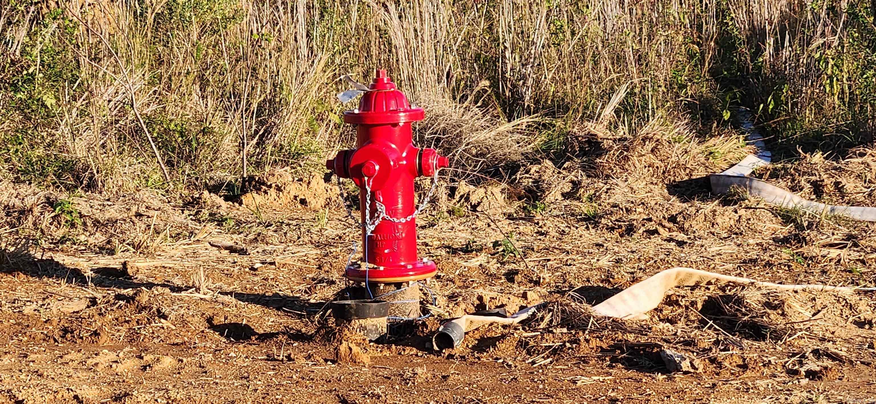 000 Camille  Star City, AR