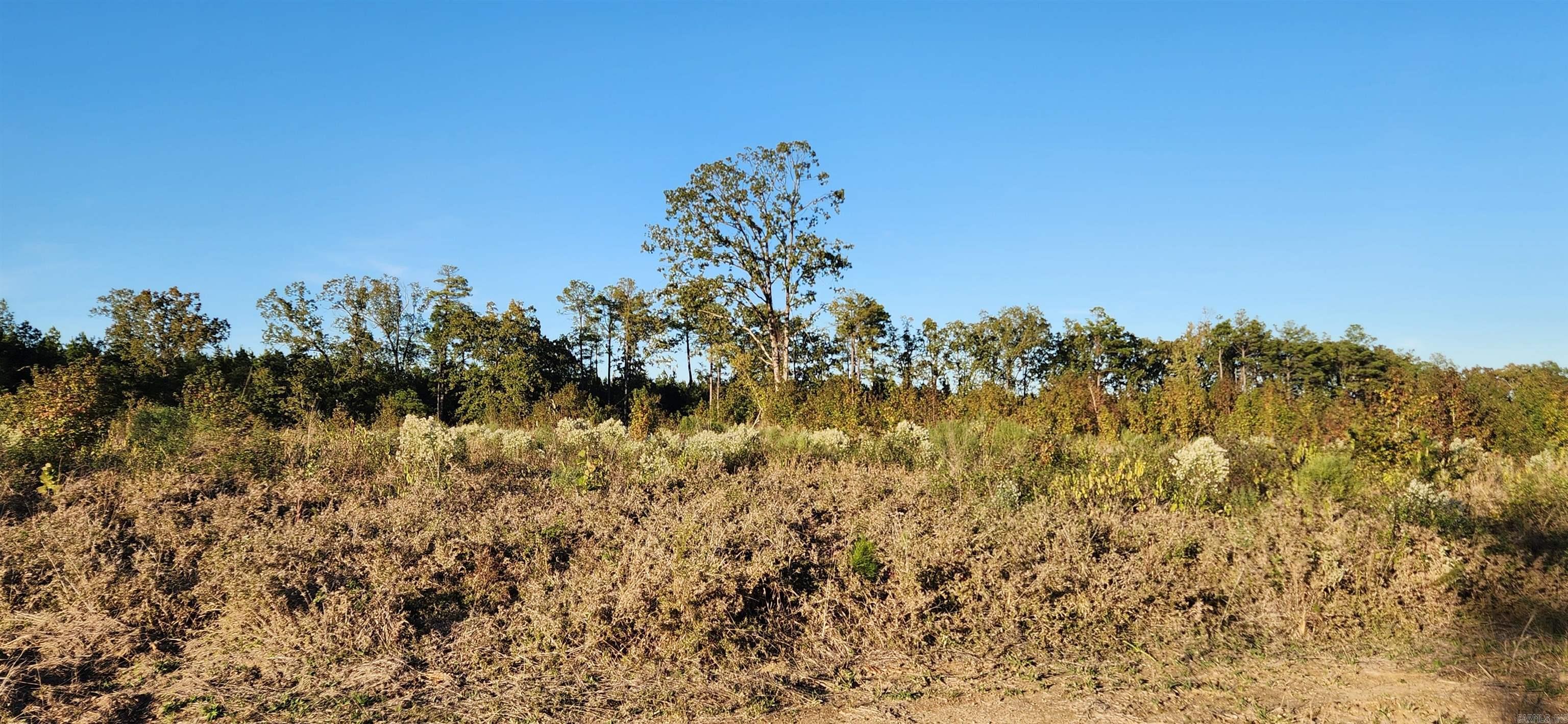 000 Camille  Star City, AR