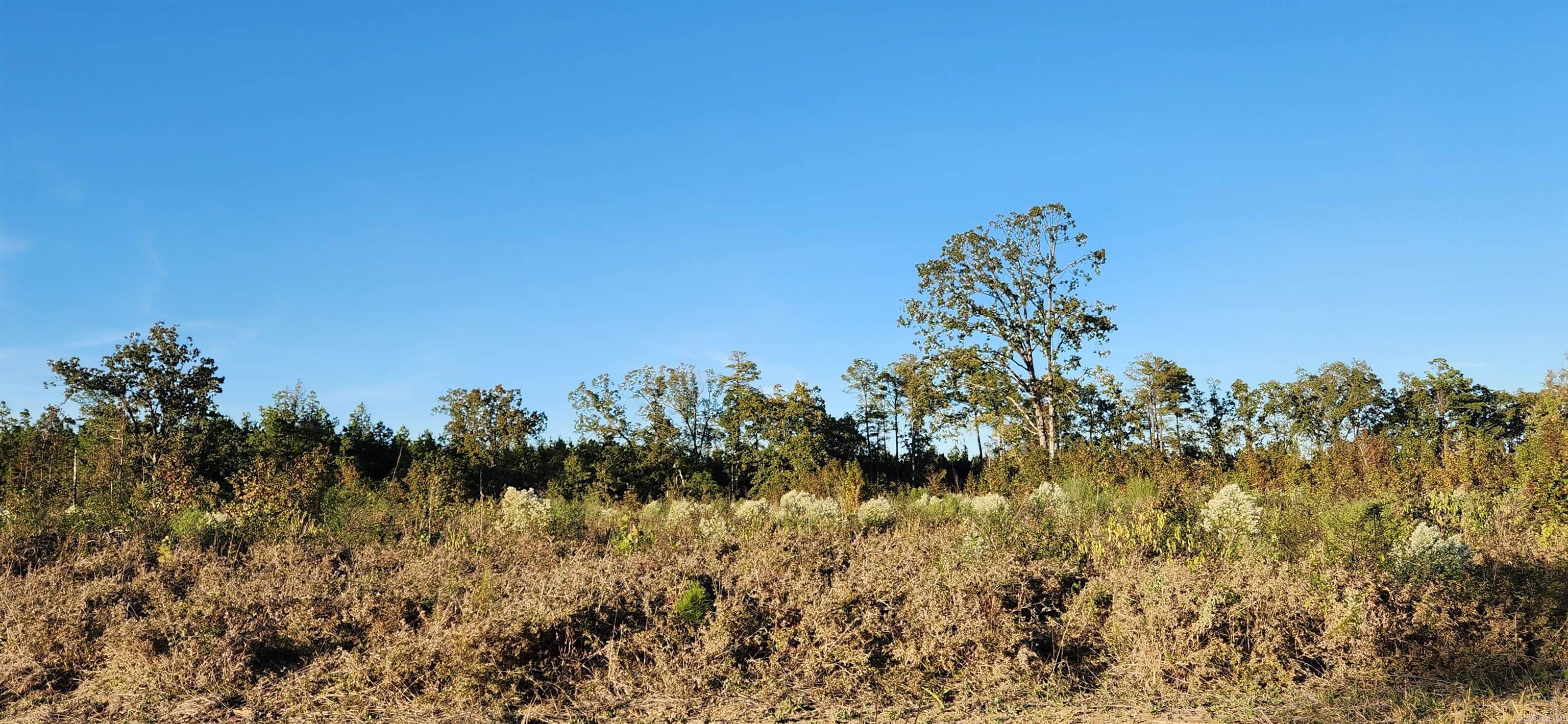 000 Camille  Star City, AR