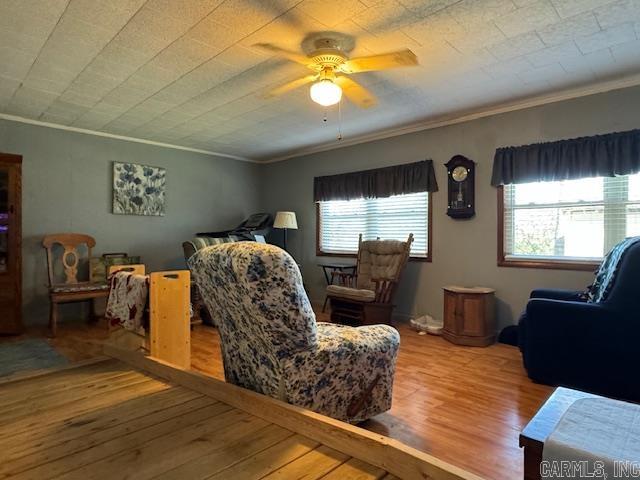 8673 Highway 251 Pocahontas, AR 72455