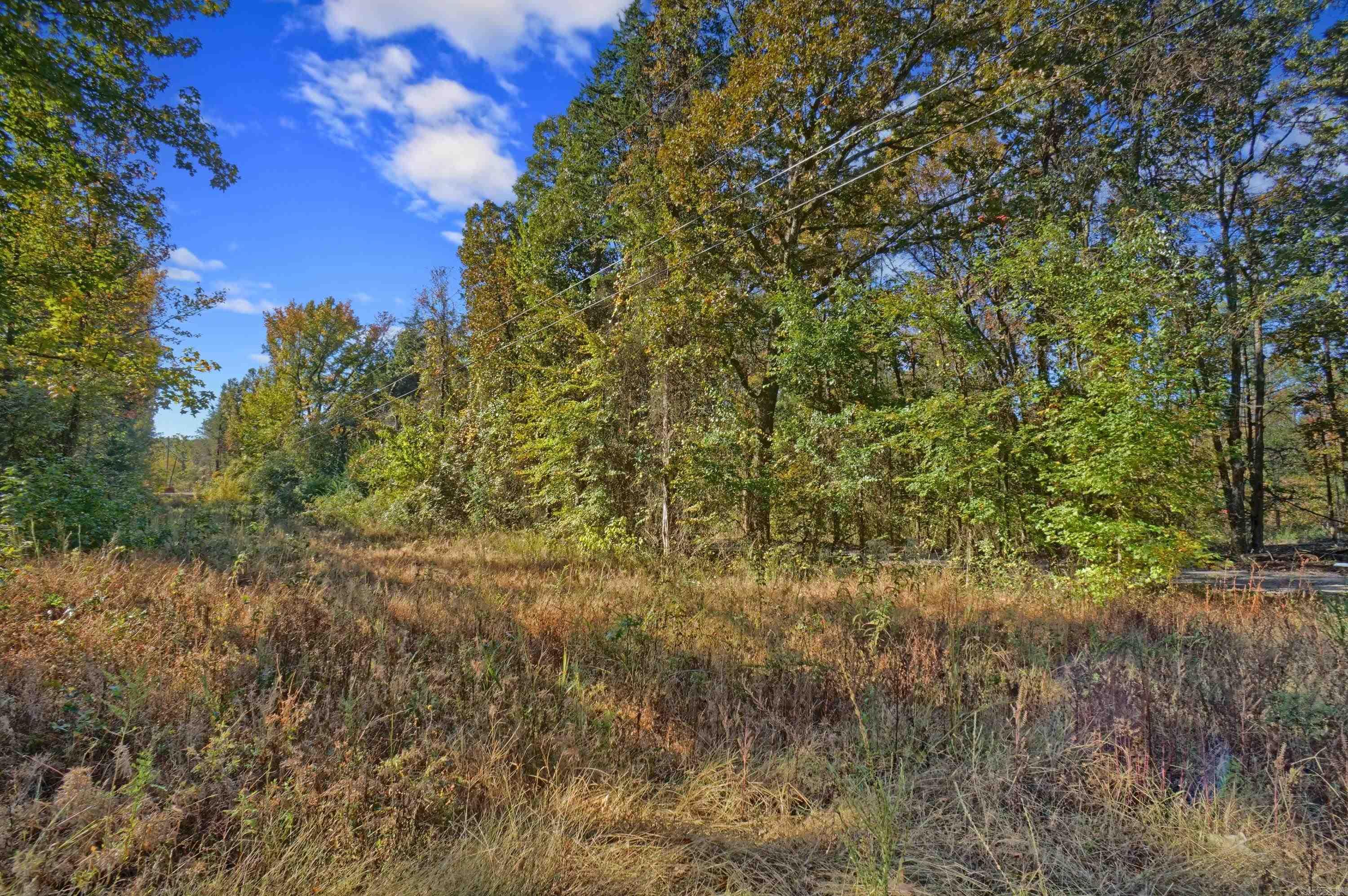 Lot 6 Melvin  Dover, AR