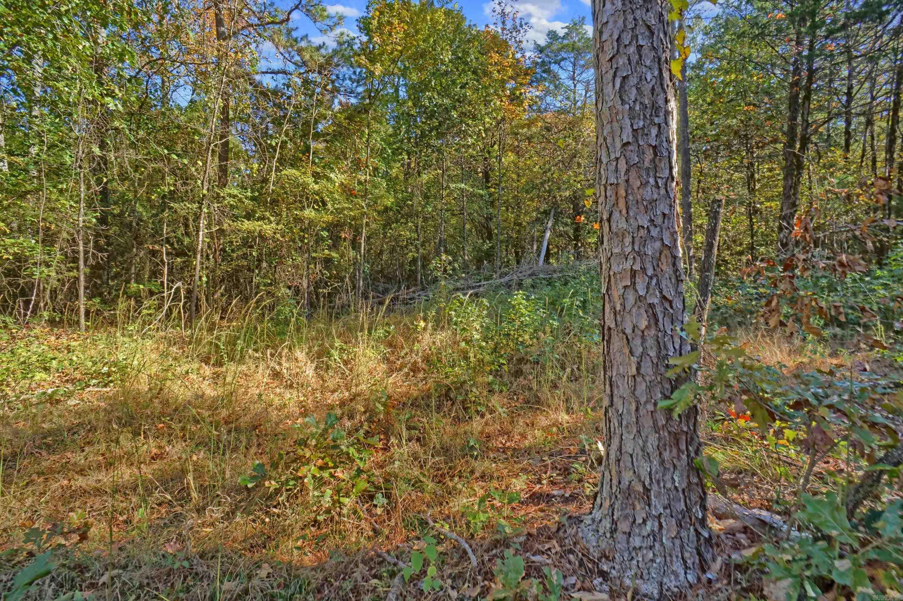 Lot 6 Melvin  Dover, AR