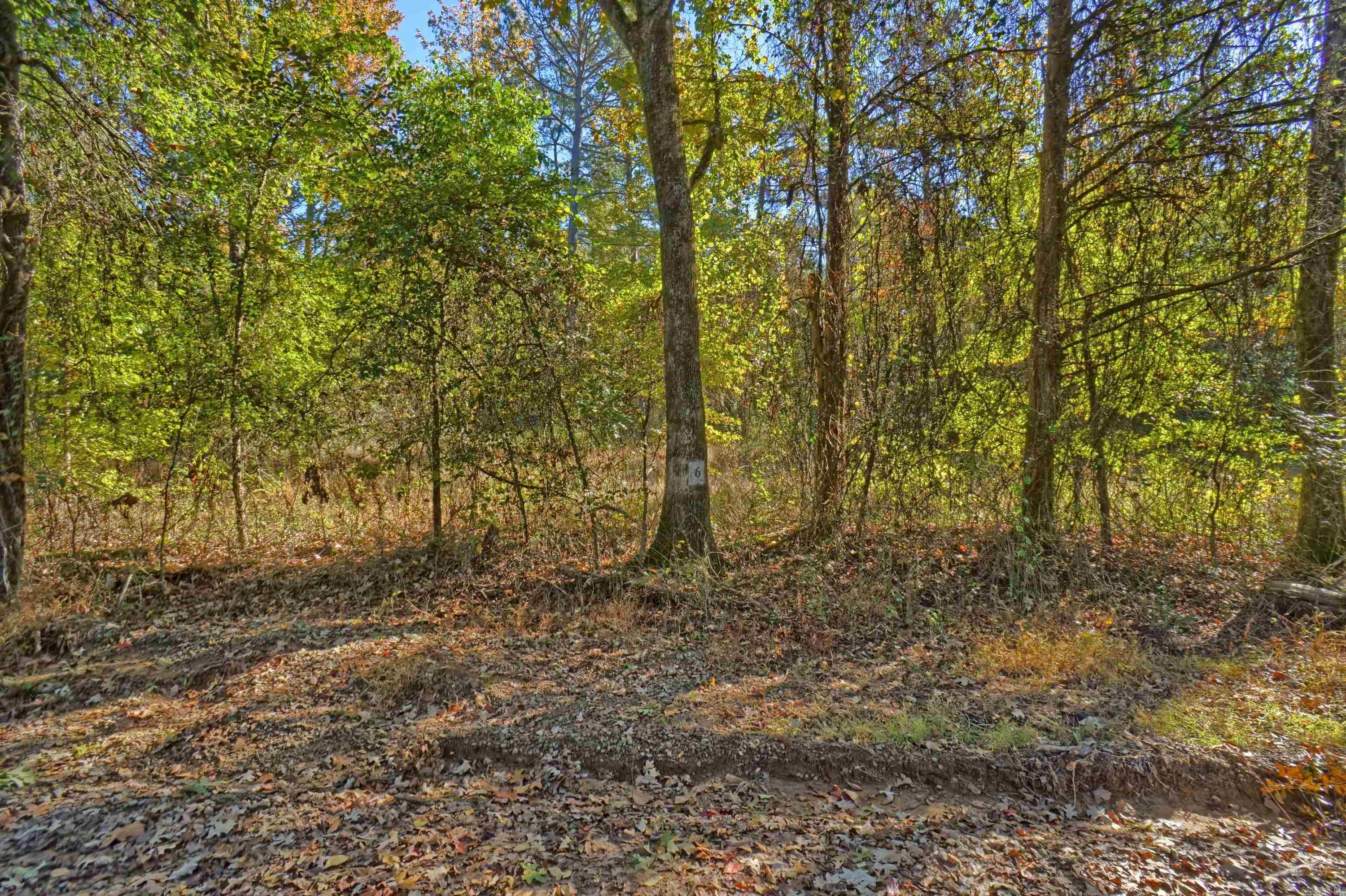 Lot 6 Melvin  Dover, AR