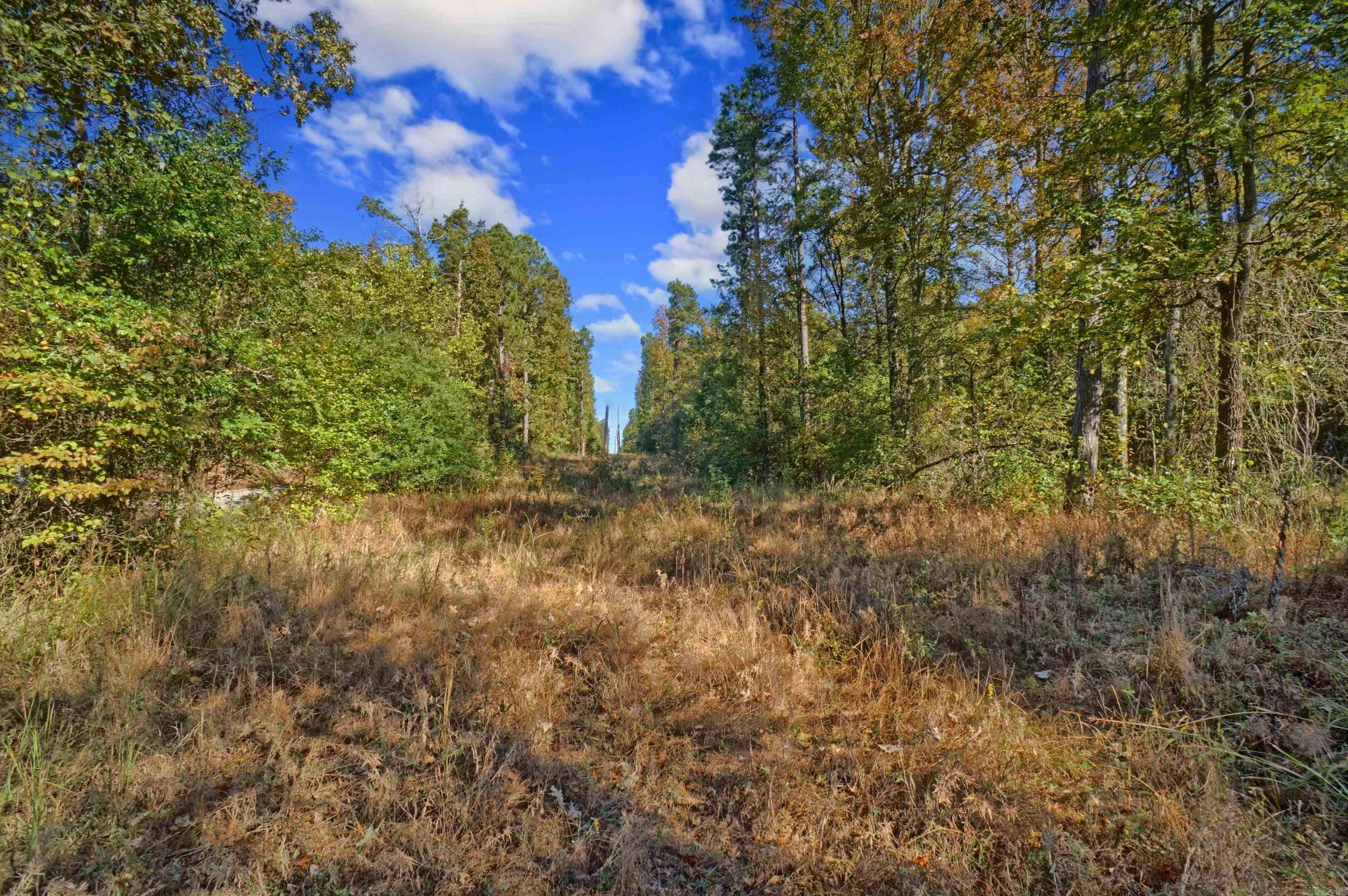 Lot 6 Melvin  Dover, AR