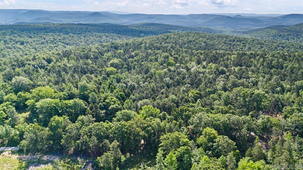 Lot 6 Melvin  Dover, AR